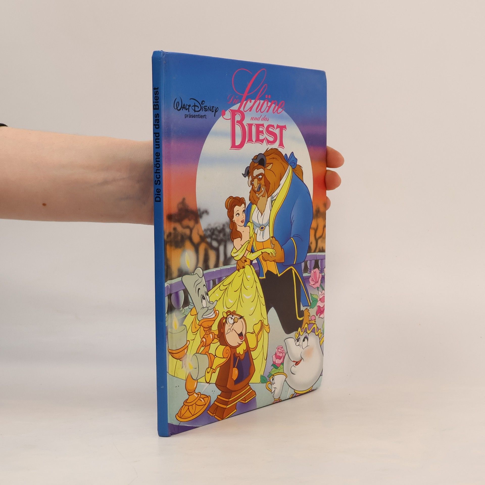 Collectif d'auteurs Die Schöne und das Biest