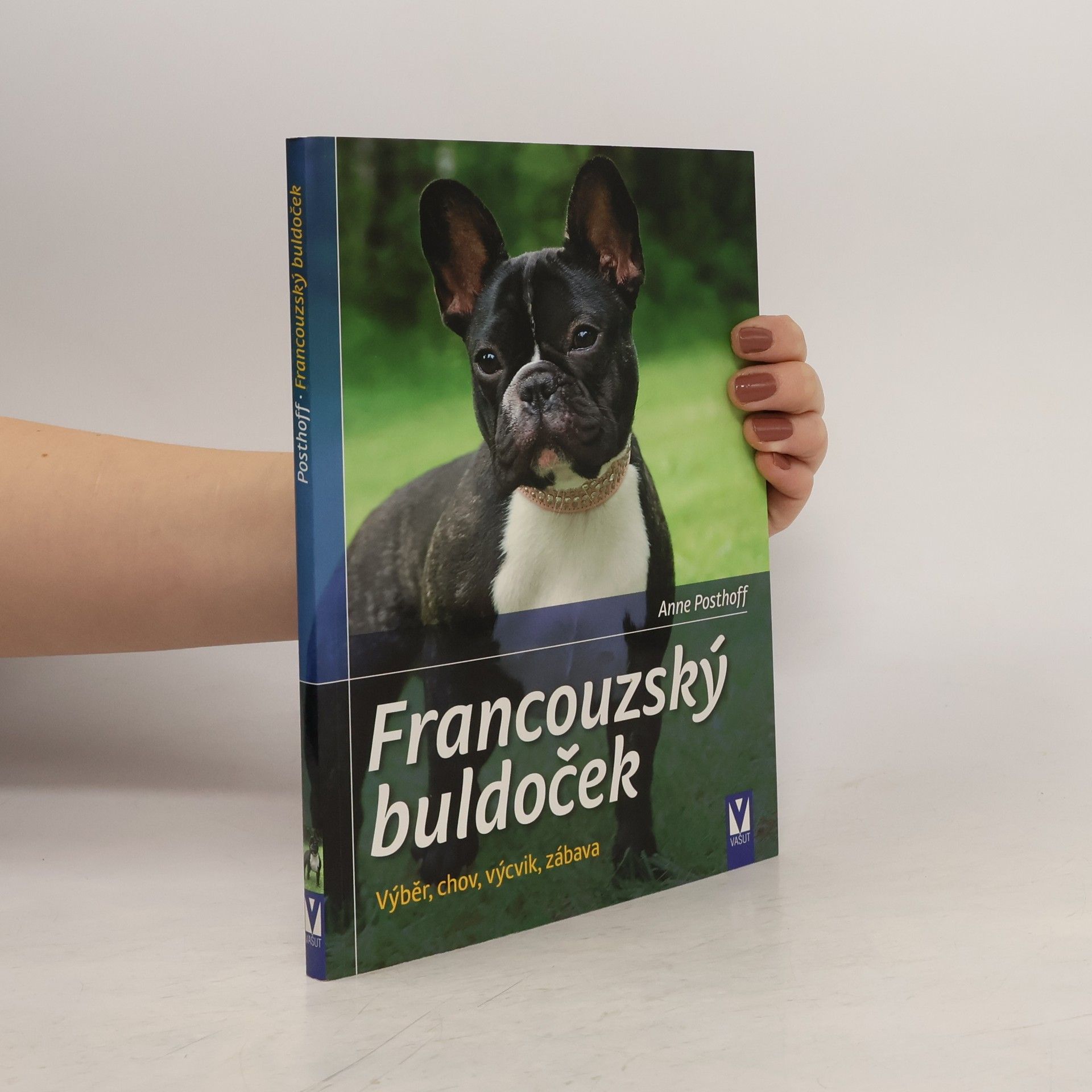 Francouzský buldoček. Výběr, chov, výcvik, zábava