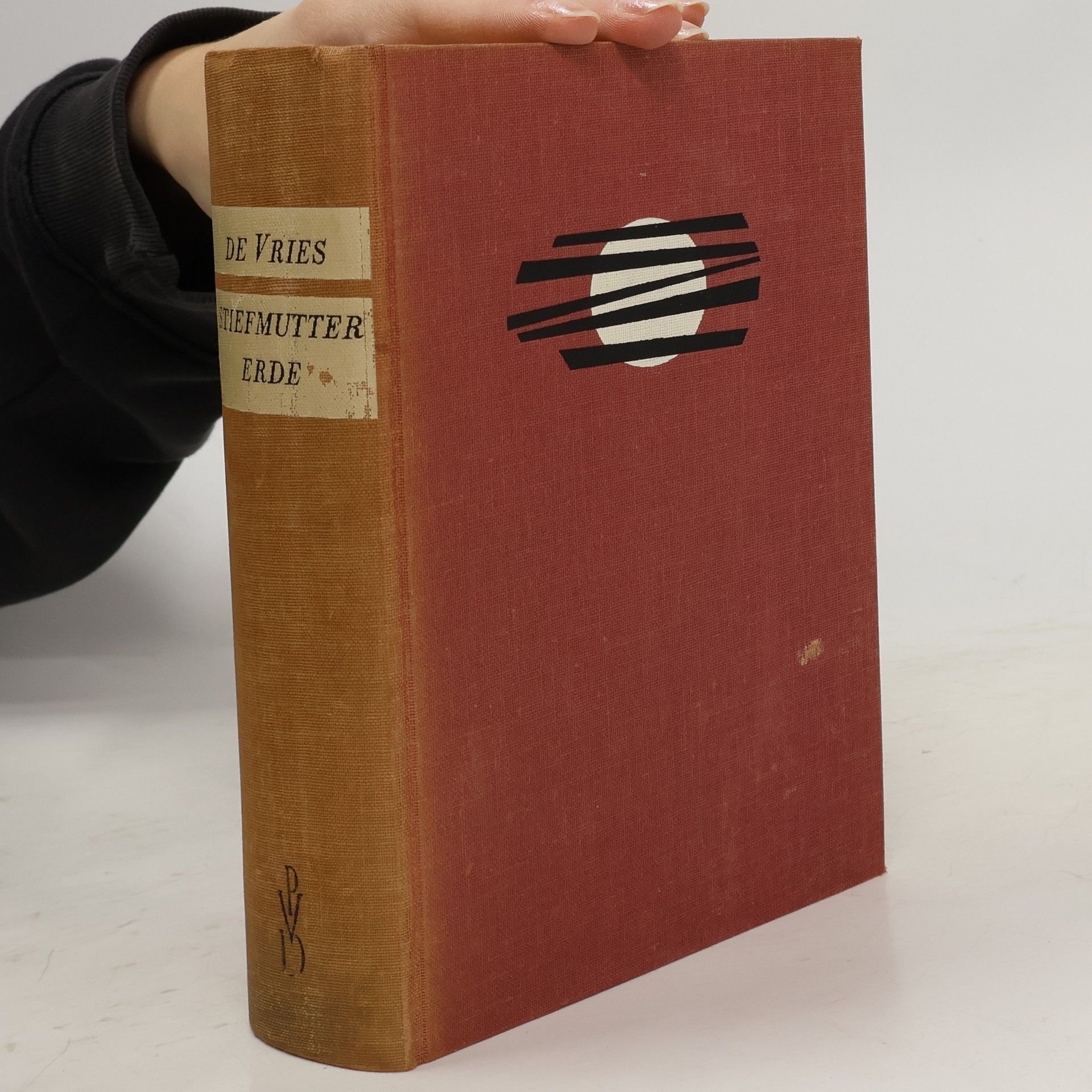 Theun de Vries Stiefmutter Erde