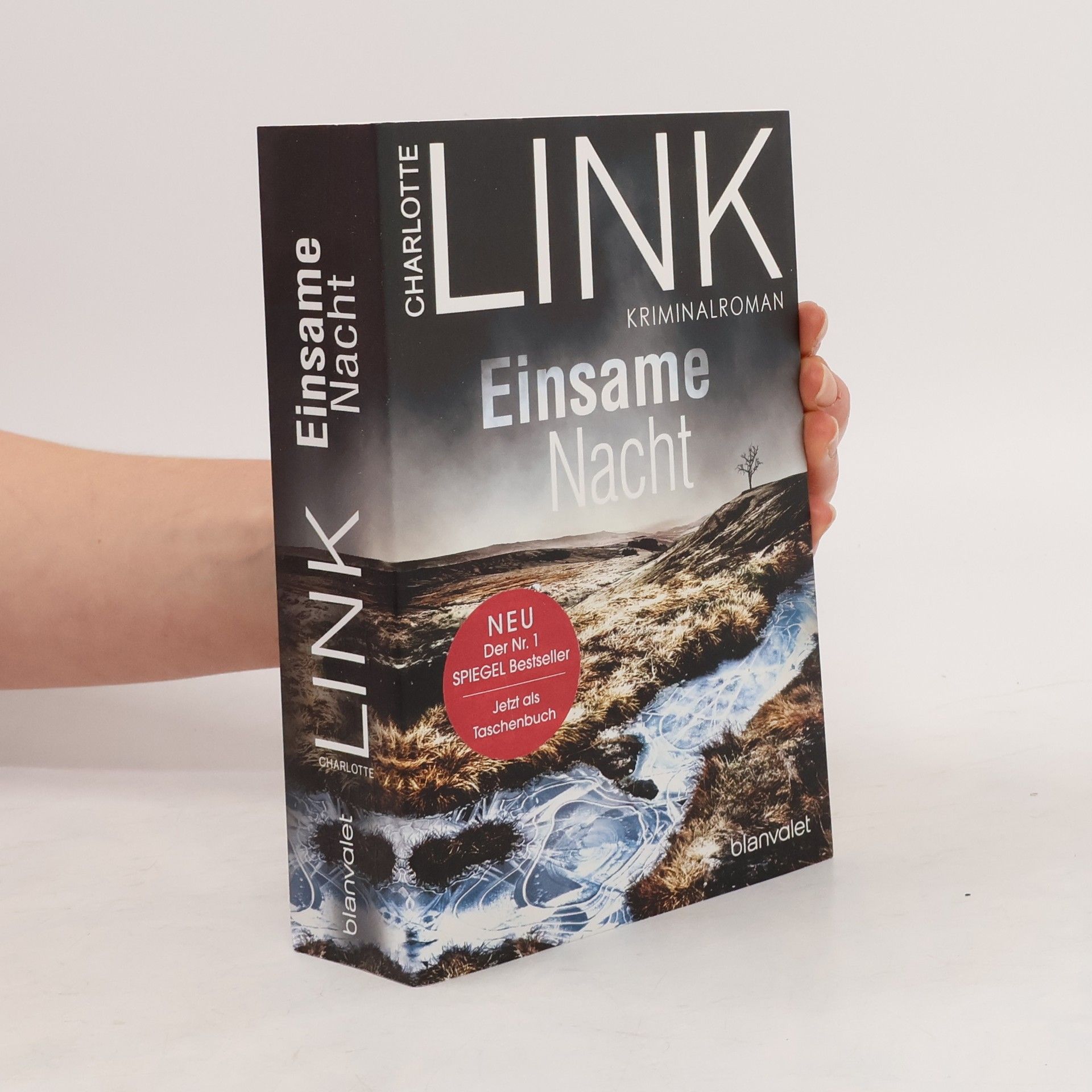 Charlotte Link Einsame Nacht