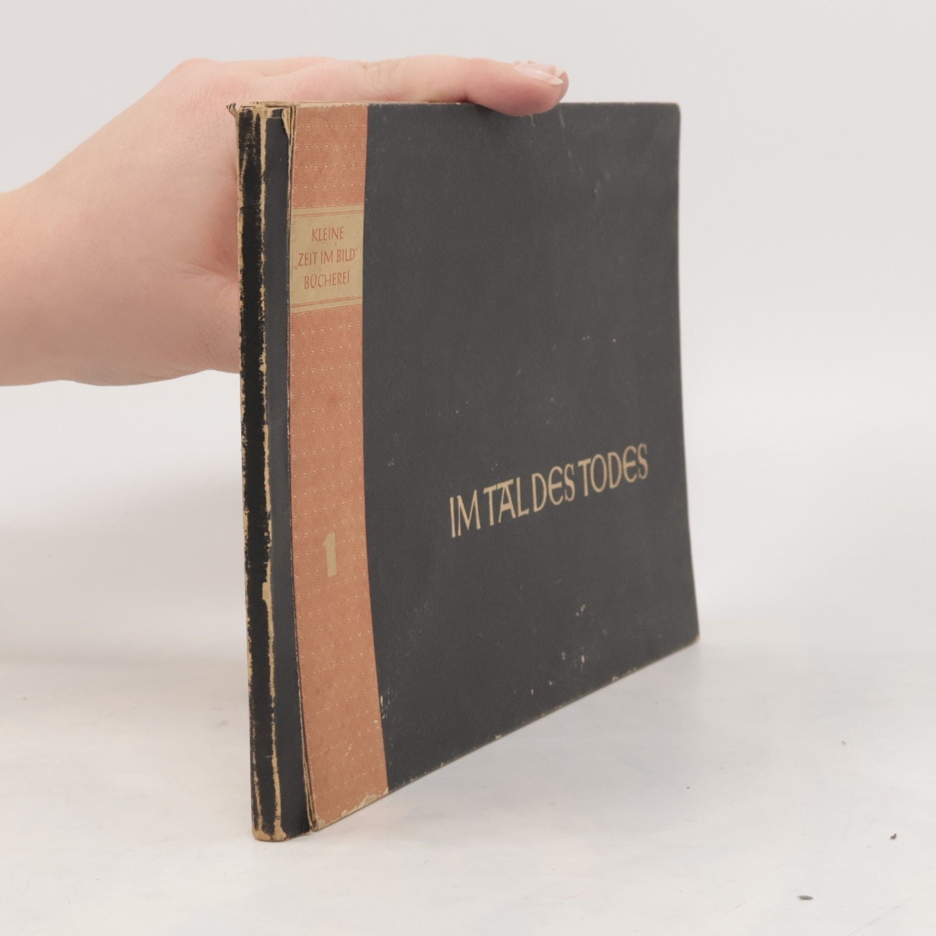 Lea Langer Grundig Im Tal des Todes