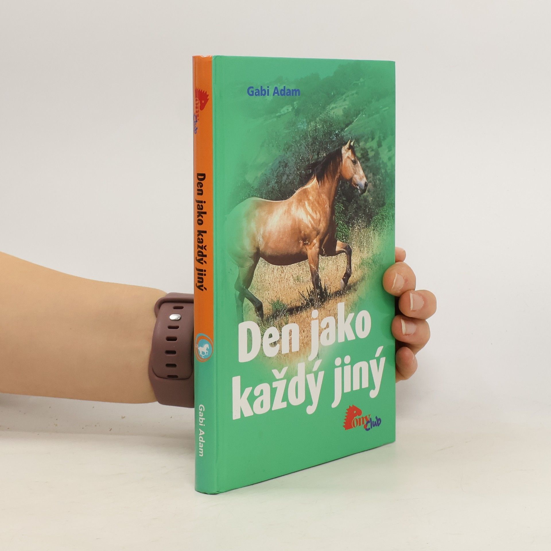 Gabi Adam Den jako každý jiný