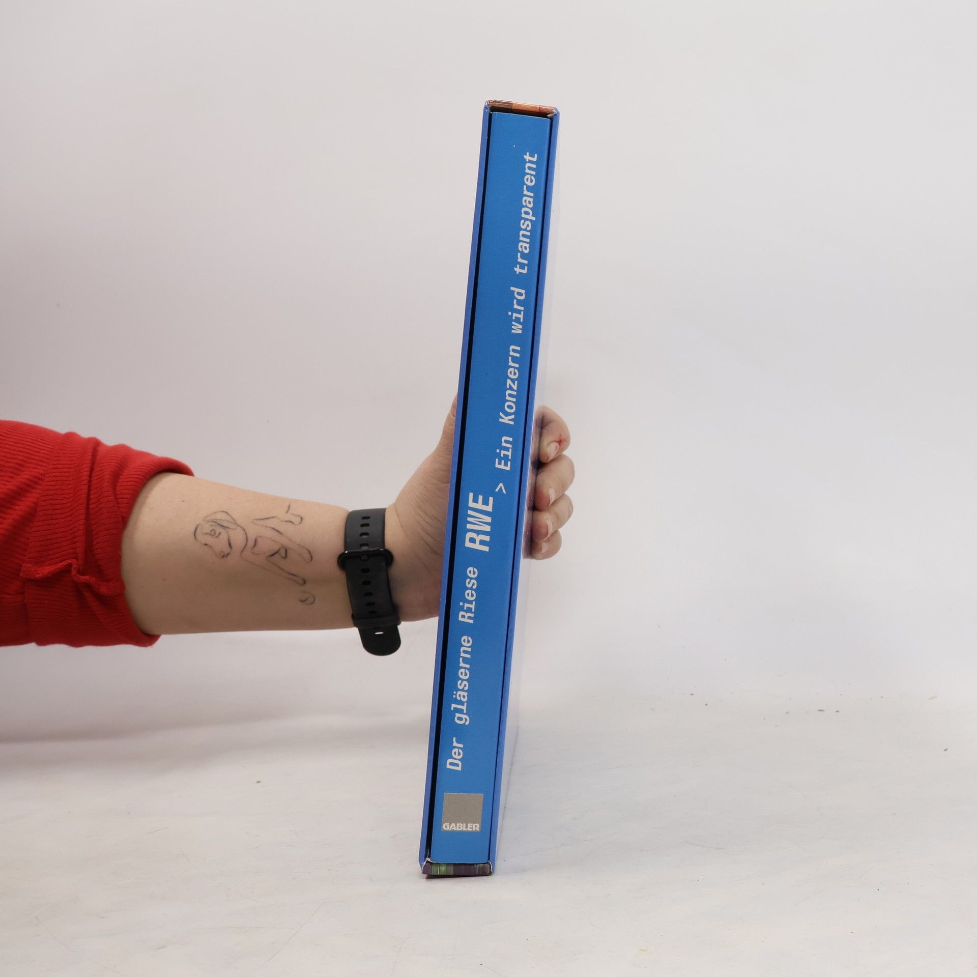 RWE - ein Konzern wird transparent