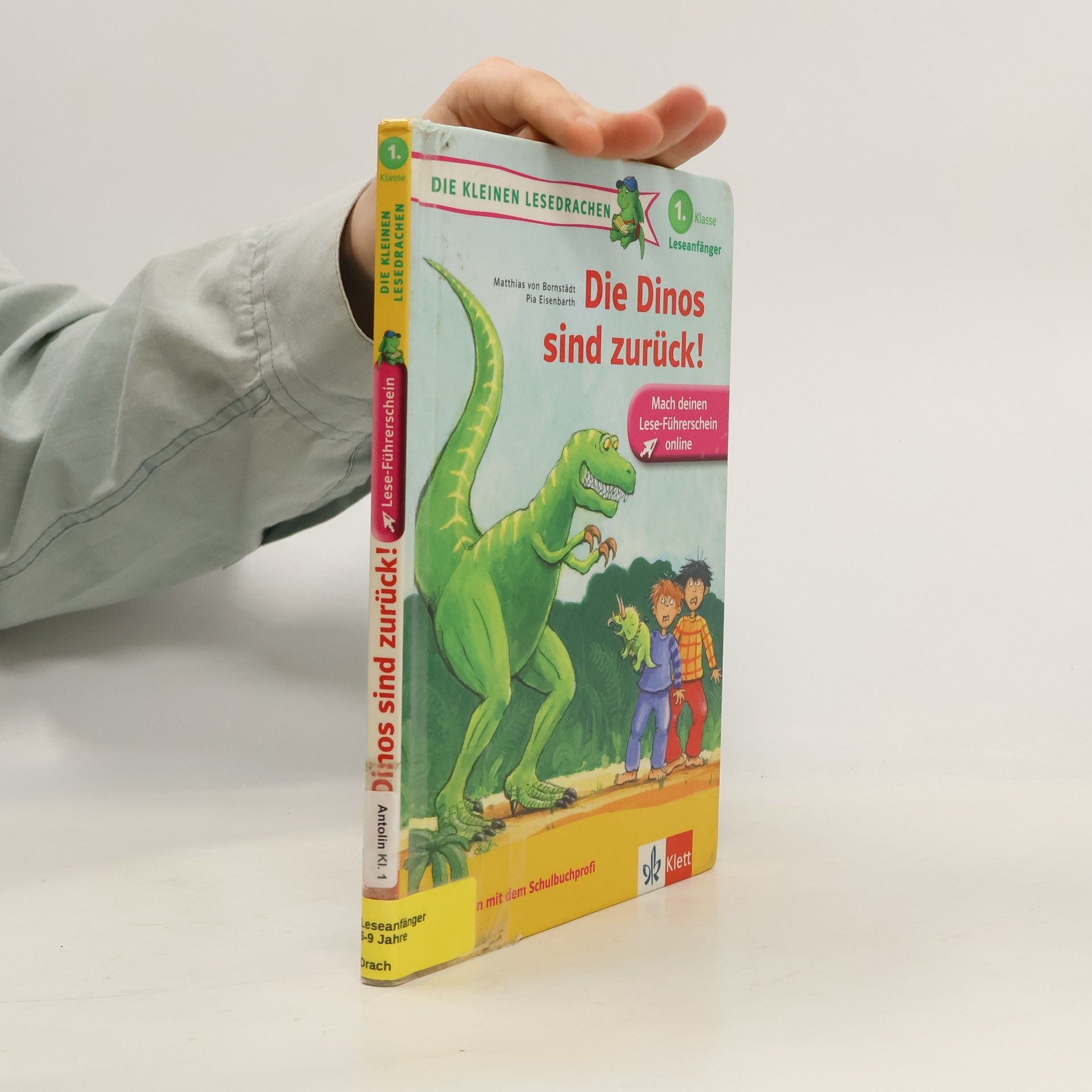 Matthias von Bornstädt Die kleinen Lesedrachen - 1: Die Dinos sind zurück!