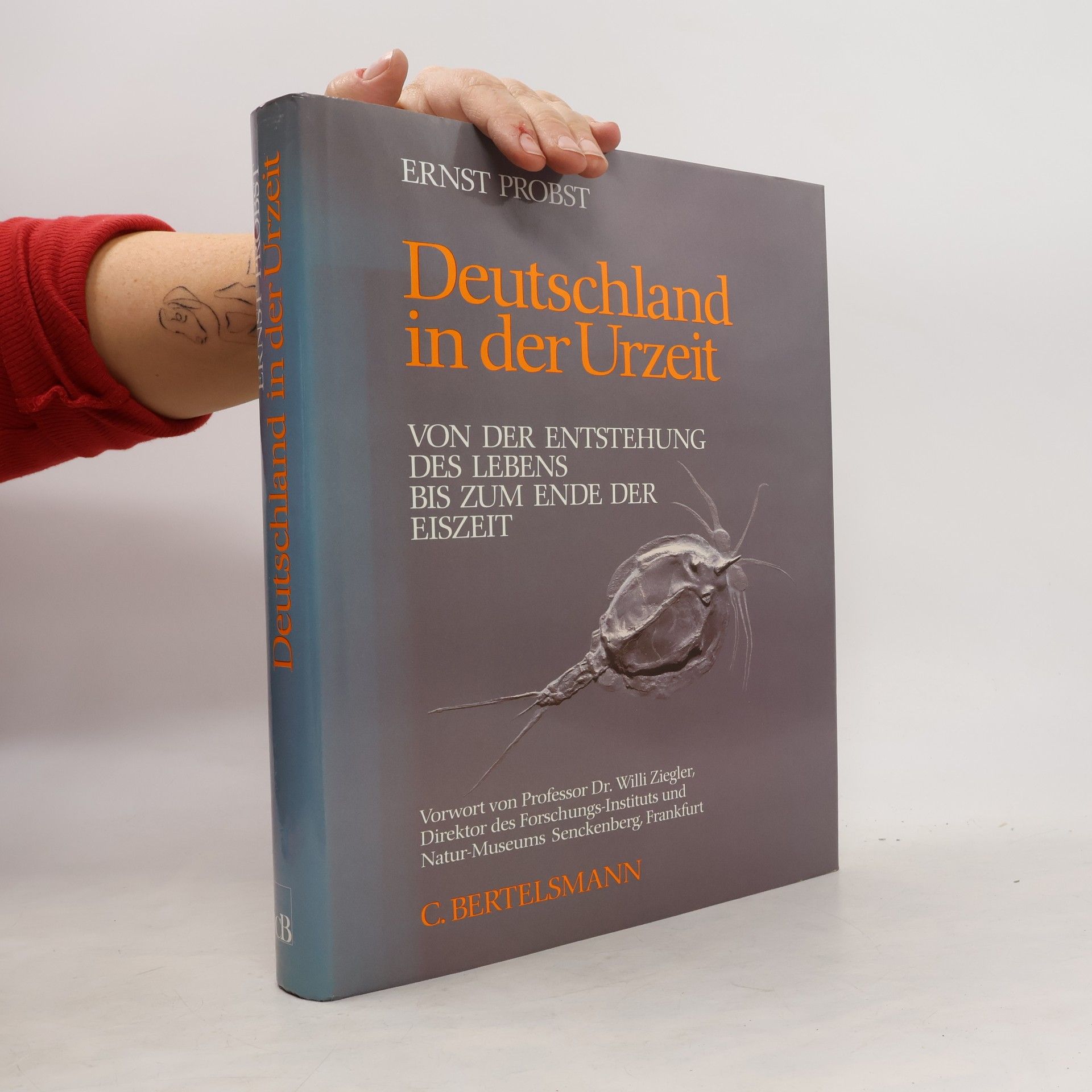 Ernst Deutschland in der Urzeit