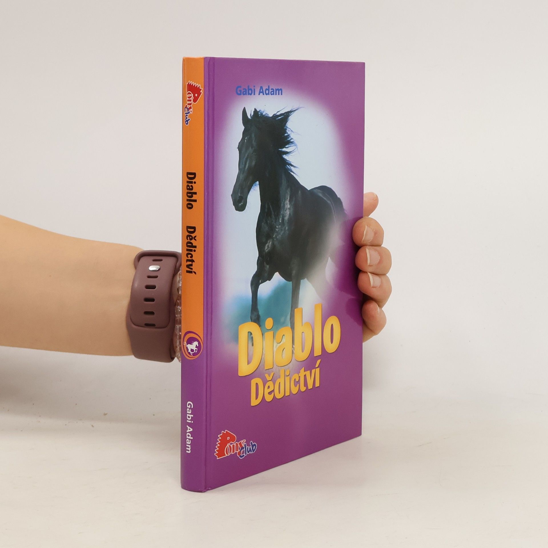 Gabi Adam Diablo. Dědictví