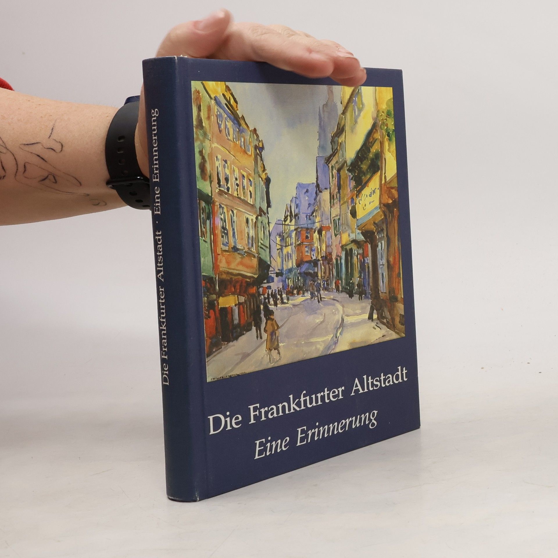 Die Frankfurter Altstadt