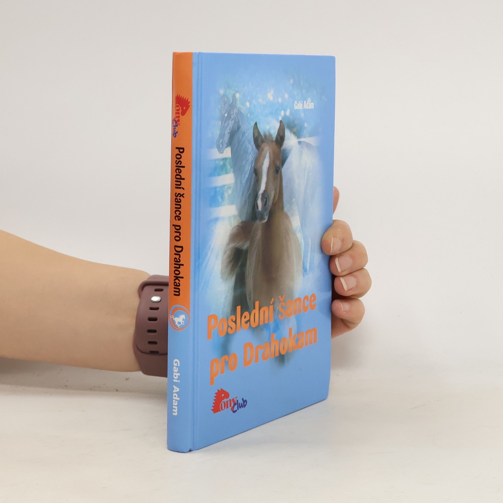 Poslední šance pro Drahokam