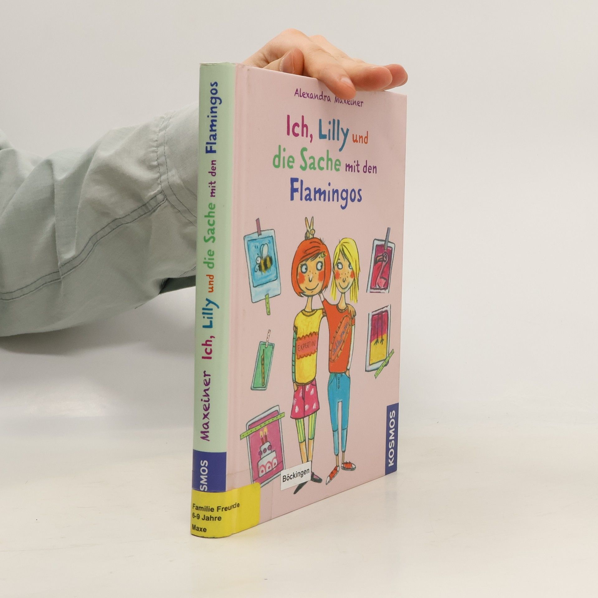 Alexandra Maxeiner Ich, Lilly und die Sache mit den Flamingos