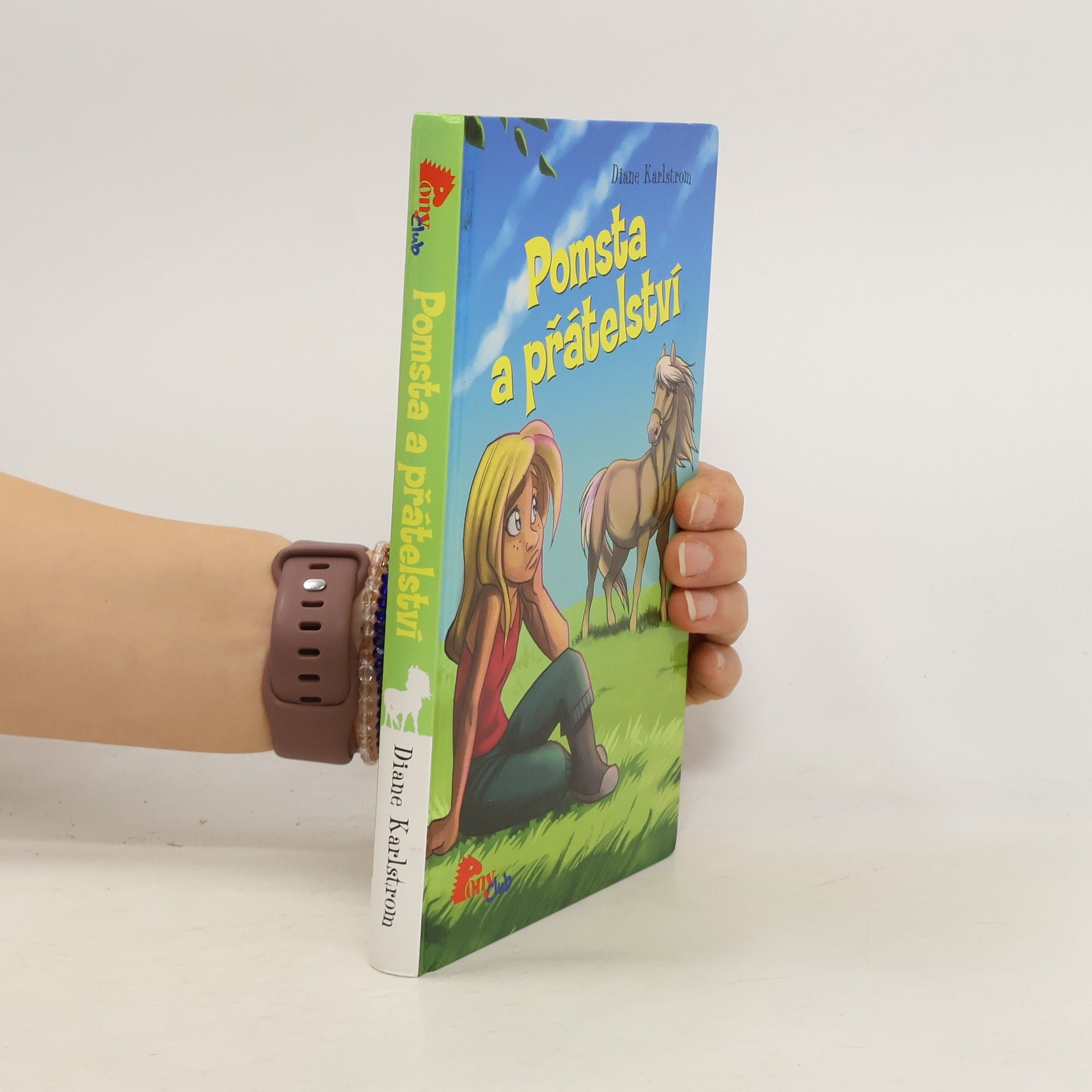 Diane Karlstrom Pomsta a přátelství