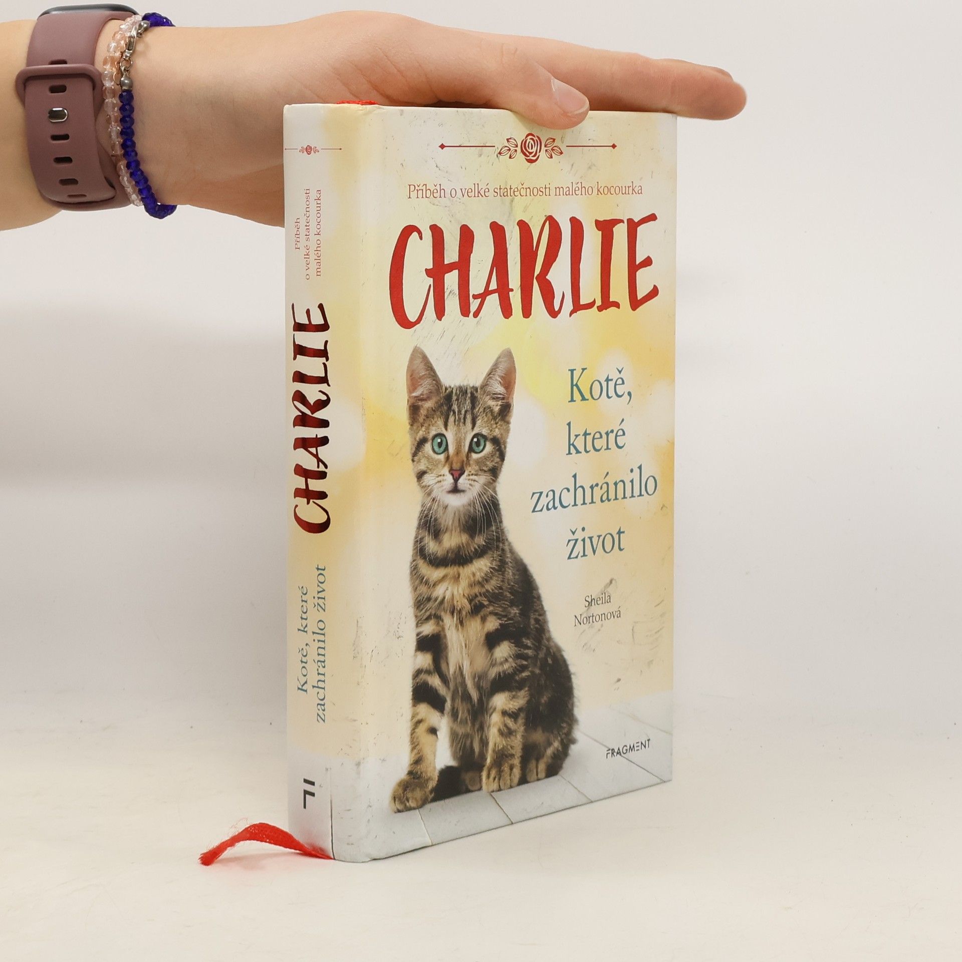 Sheila Norton Charlie - kotě, které zachránilo život