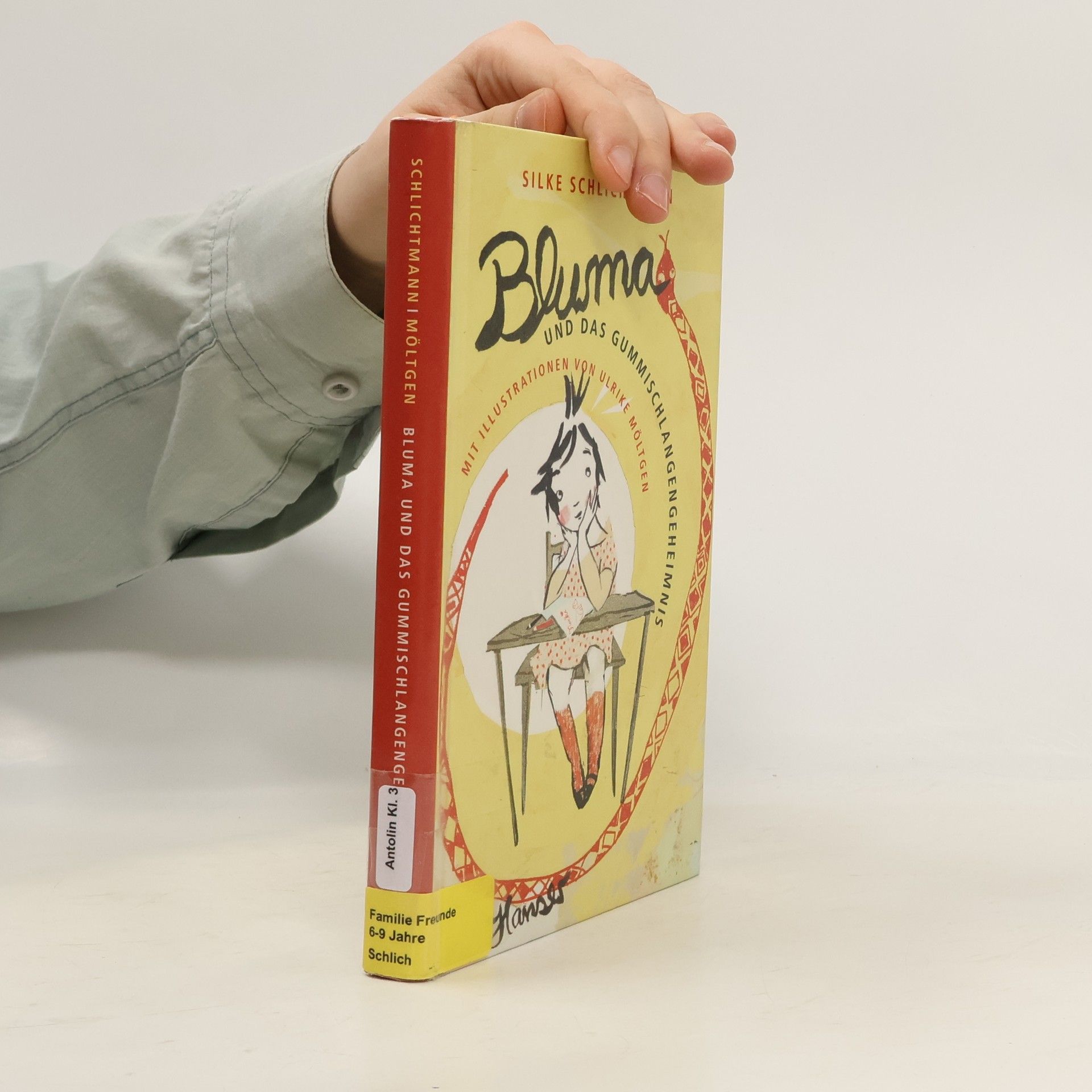 Silke Schlichtmann Bluma und das Gummischlangengeheimnis