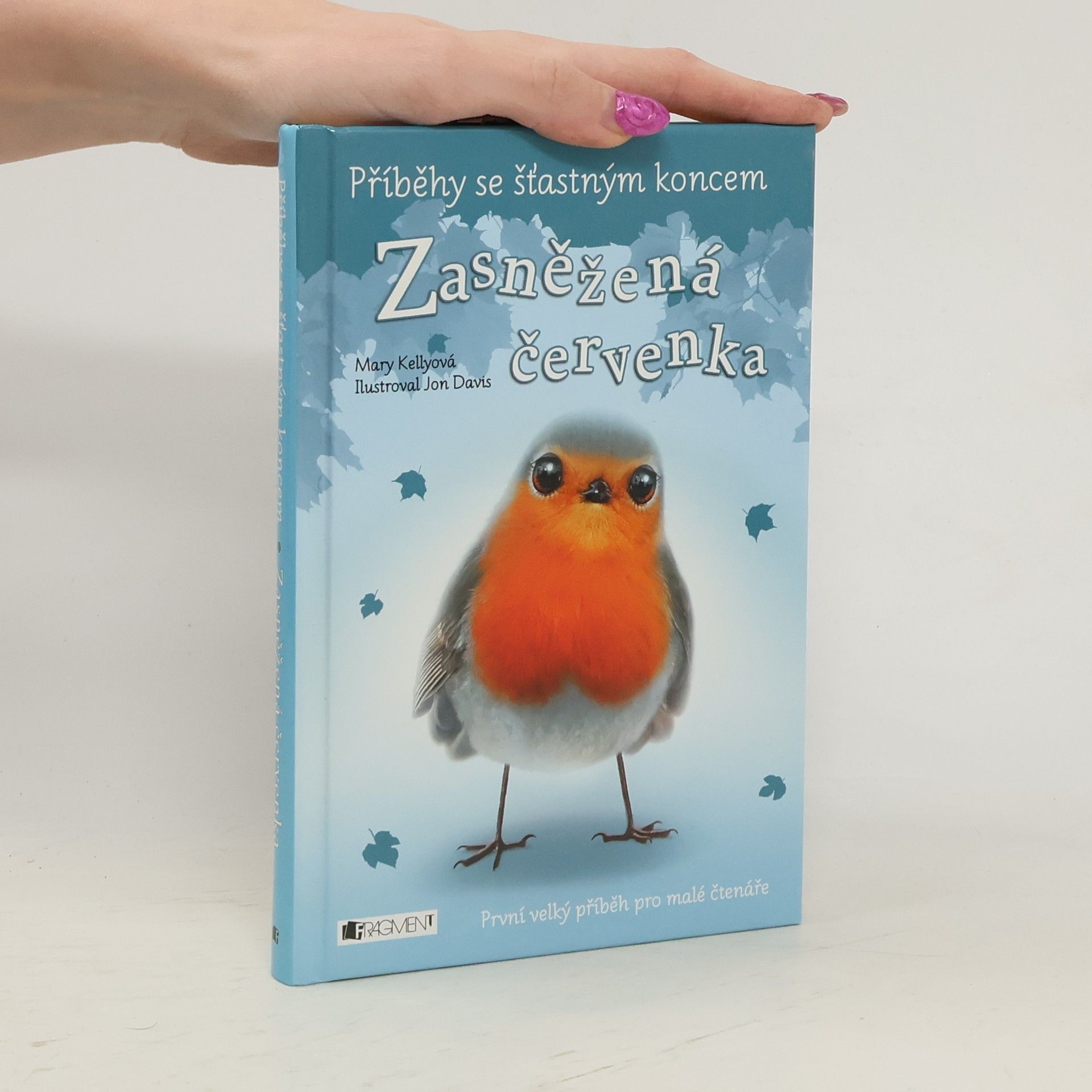 Mary Kelly Zasněžená červenka