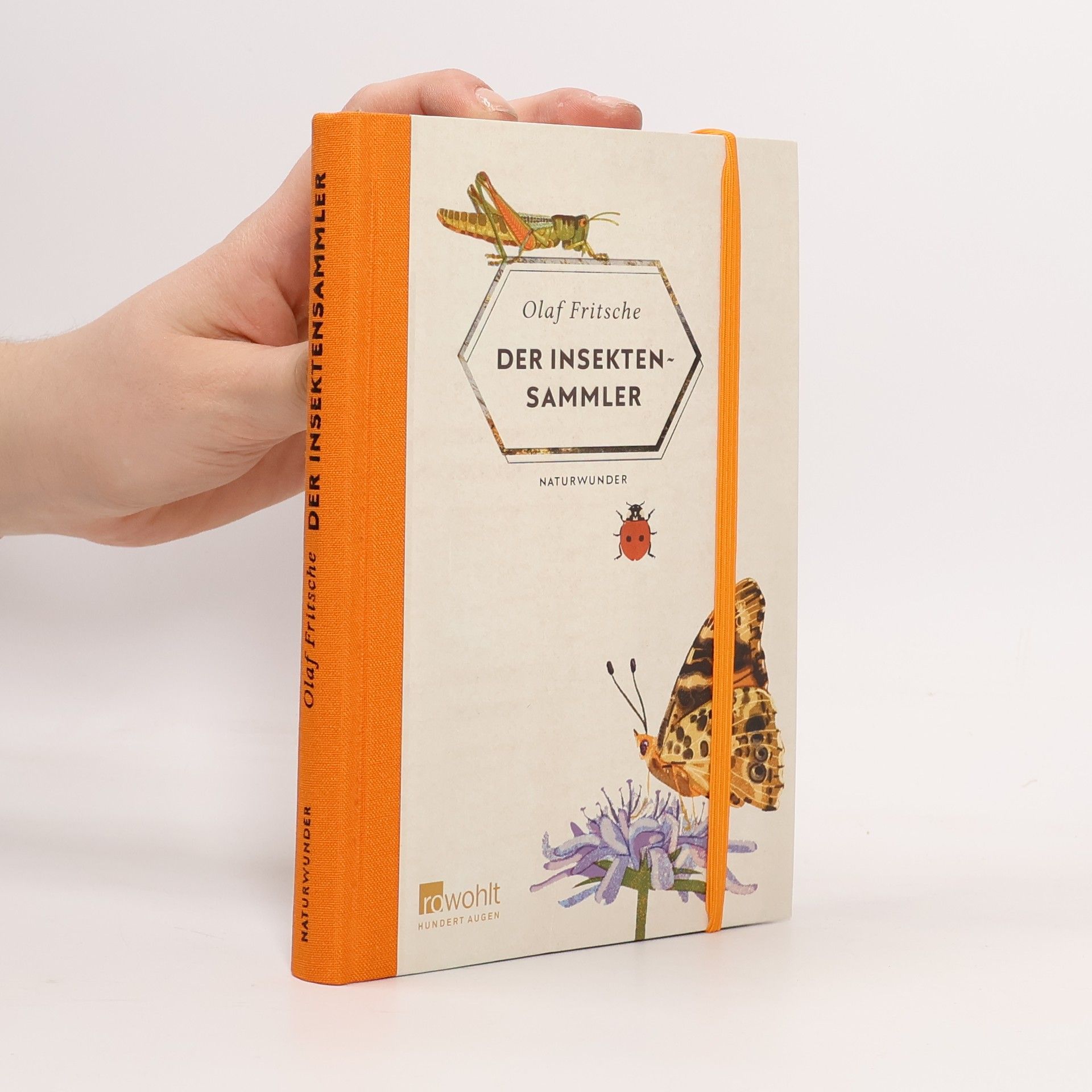 Olaf Fritsche Der Insektensammler