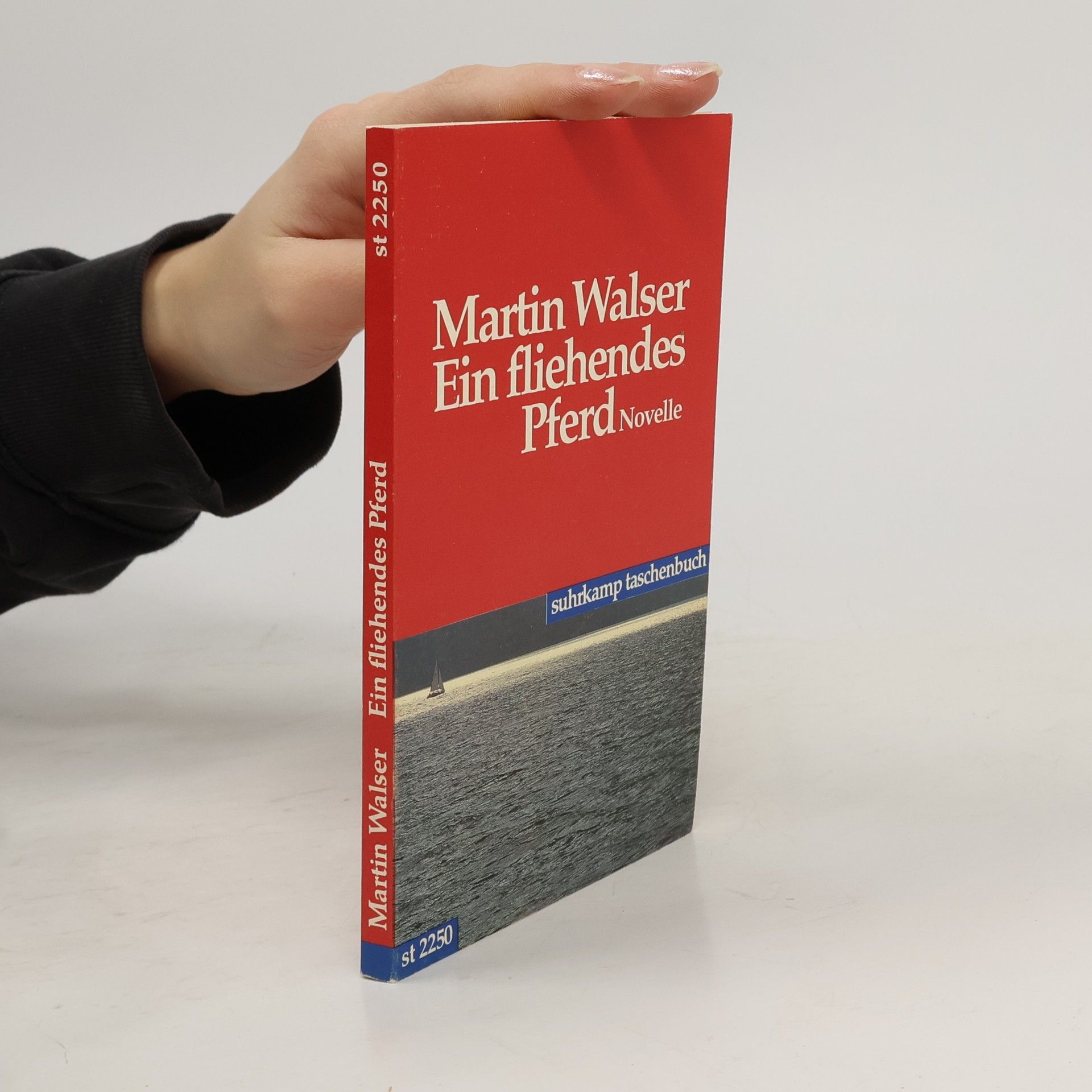 Martin Walser Ein fliehendes Pferd