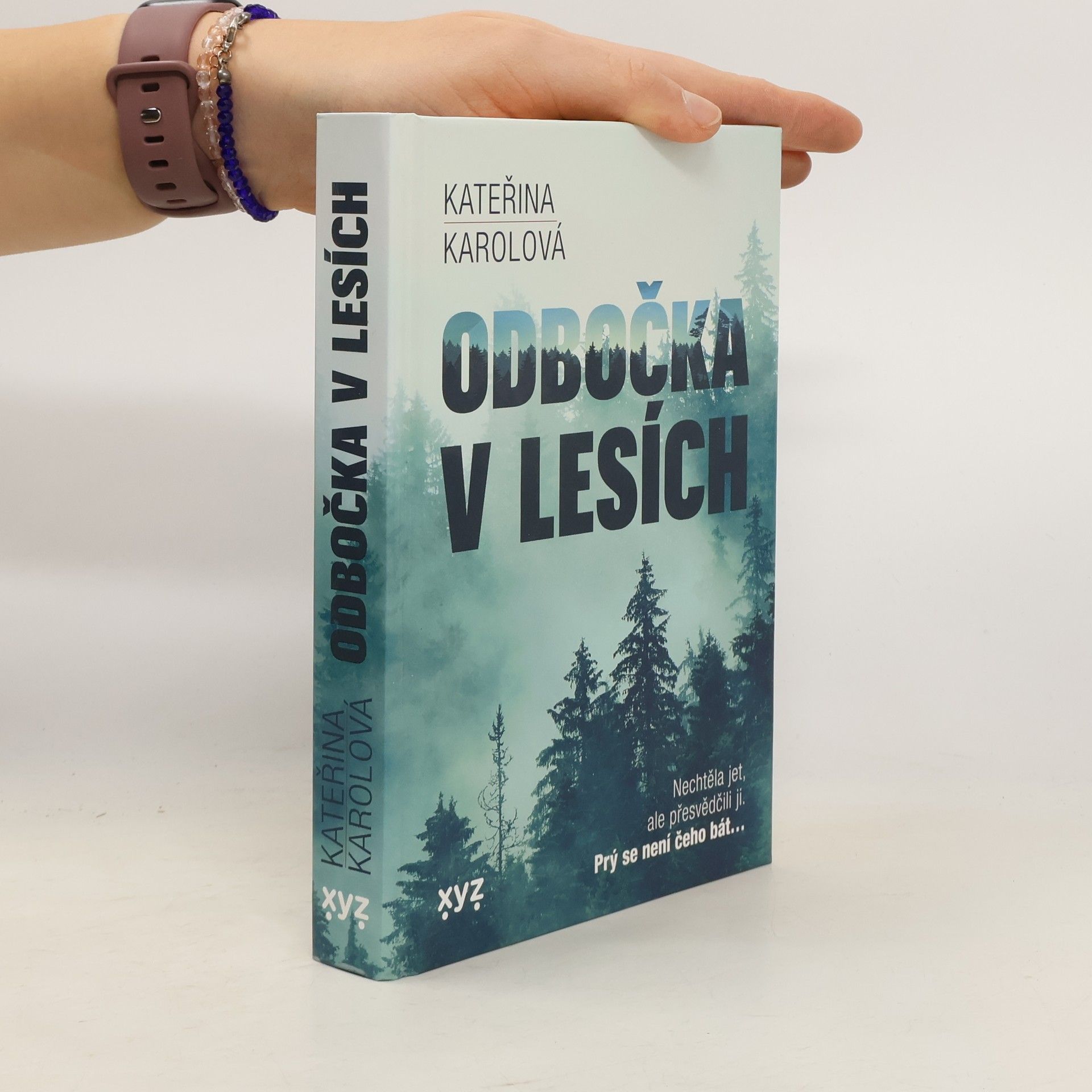 Odbočka v lesích