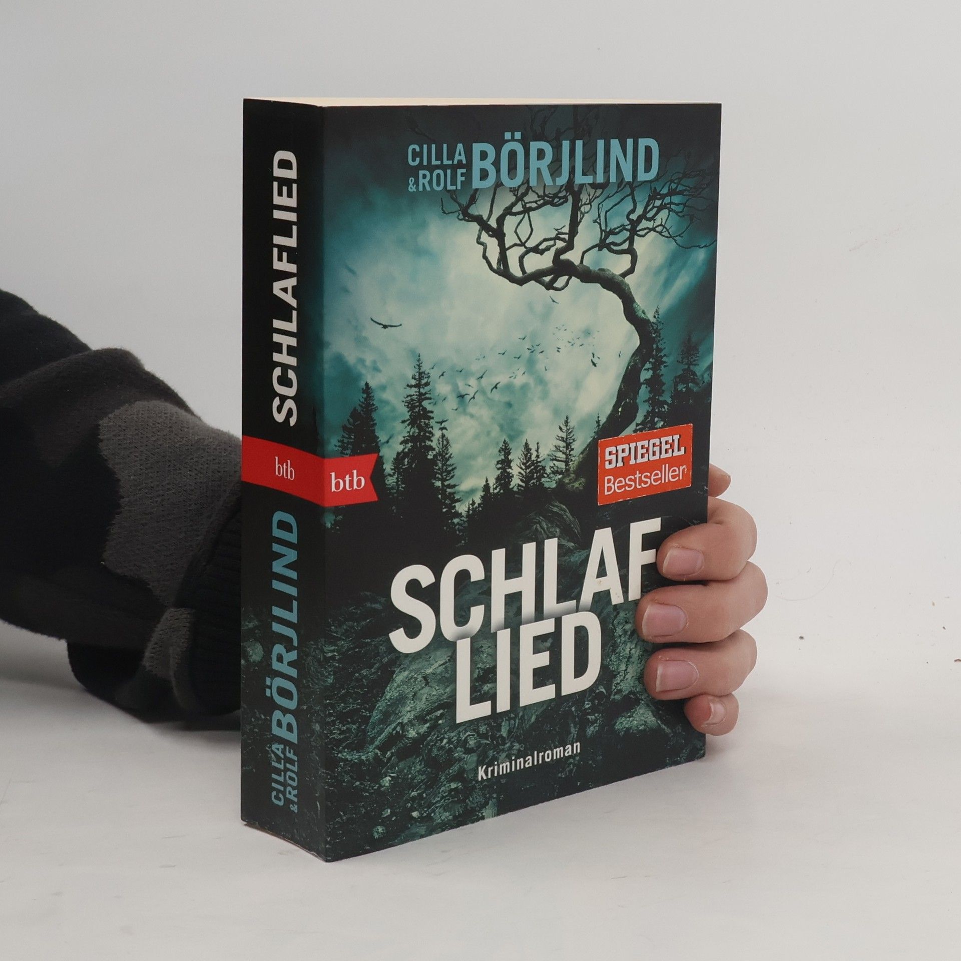 Rolf Börjlind Schlaflied