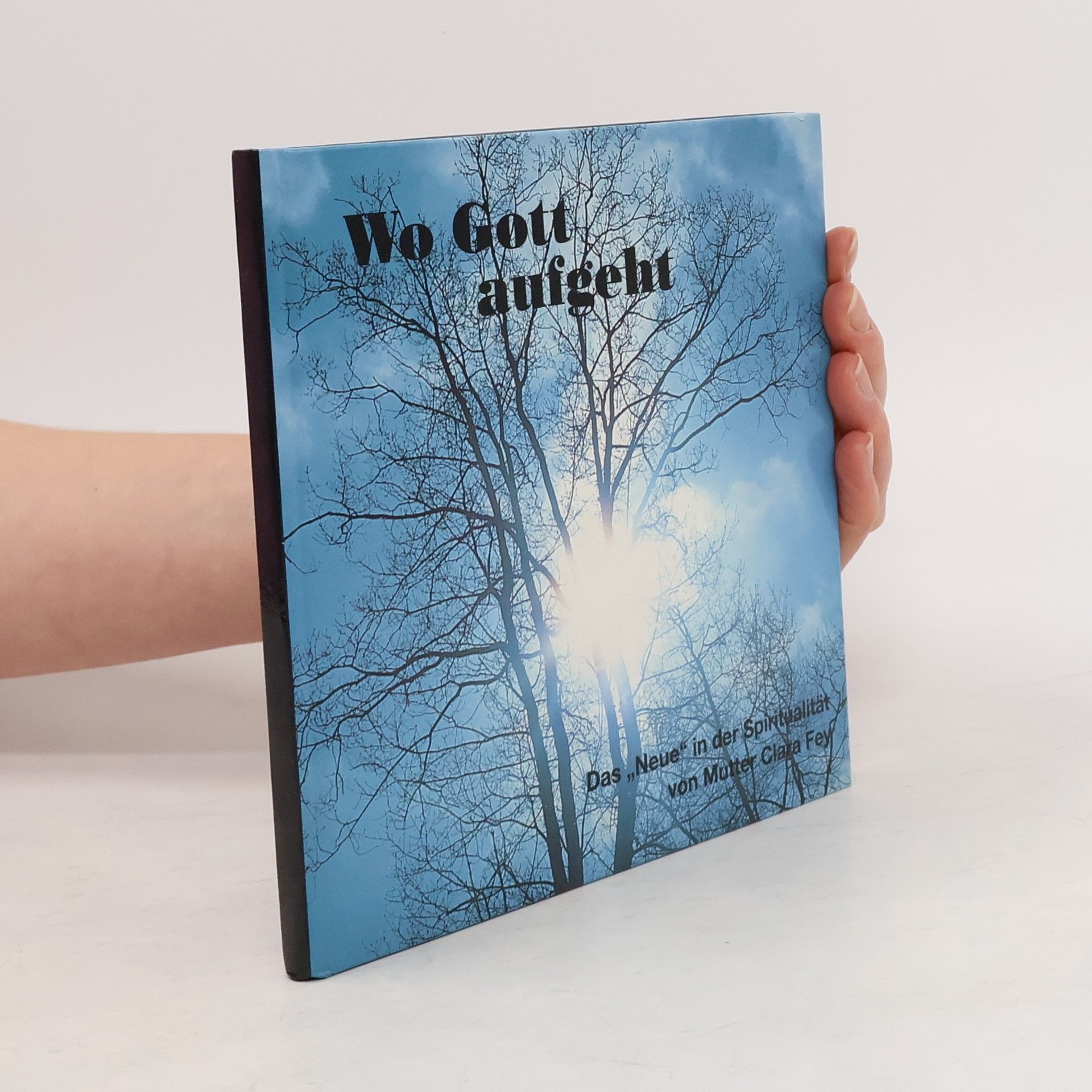 Klaus Hemmerle Wo Gott aufgeht