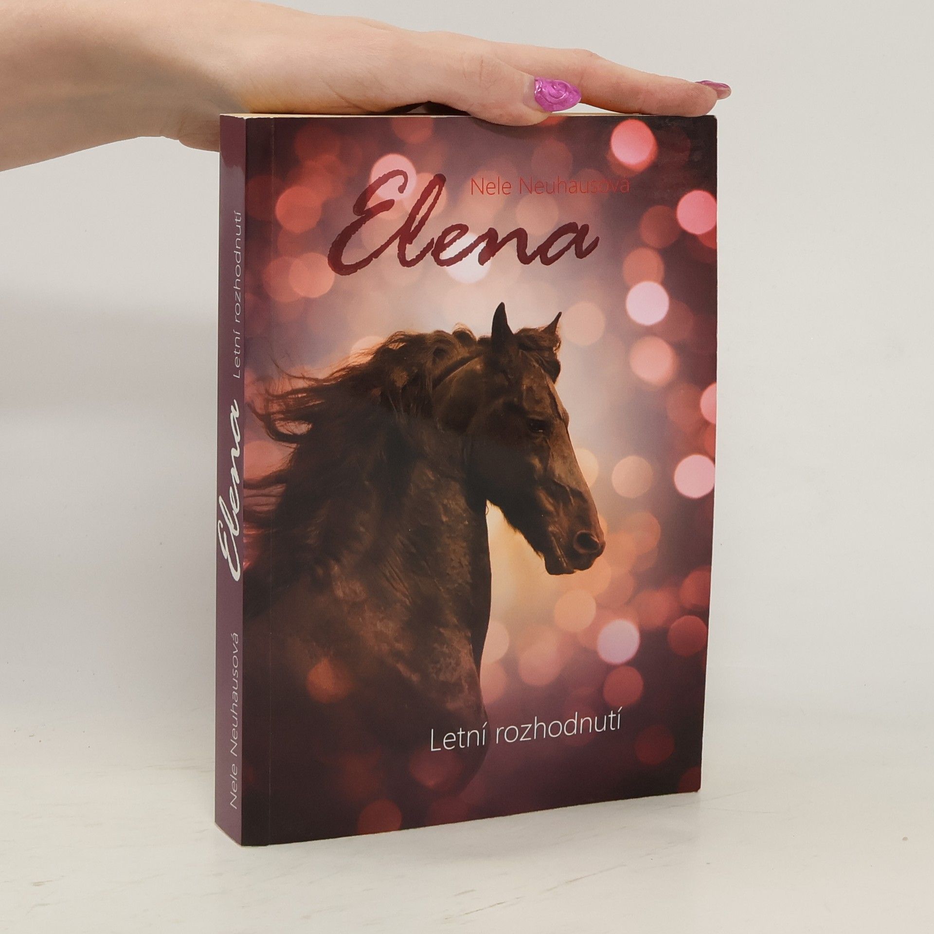 Nele Neuhaus Letní rozhodnutí