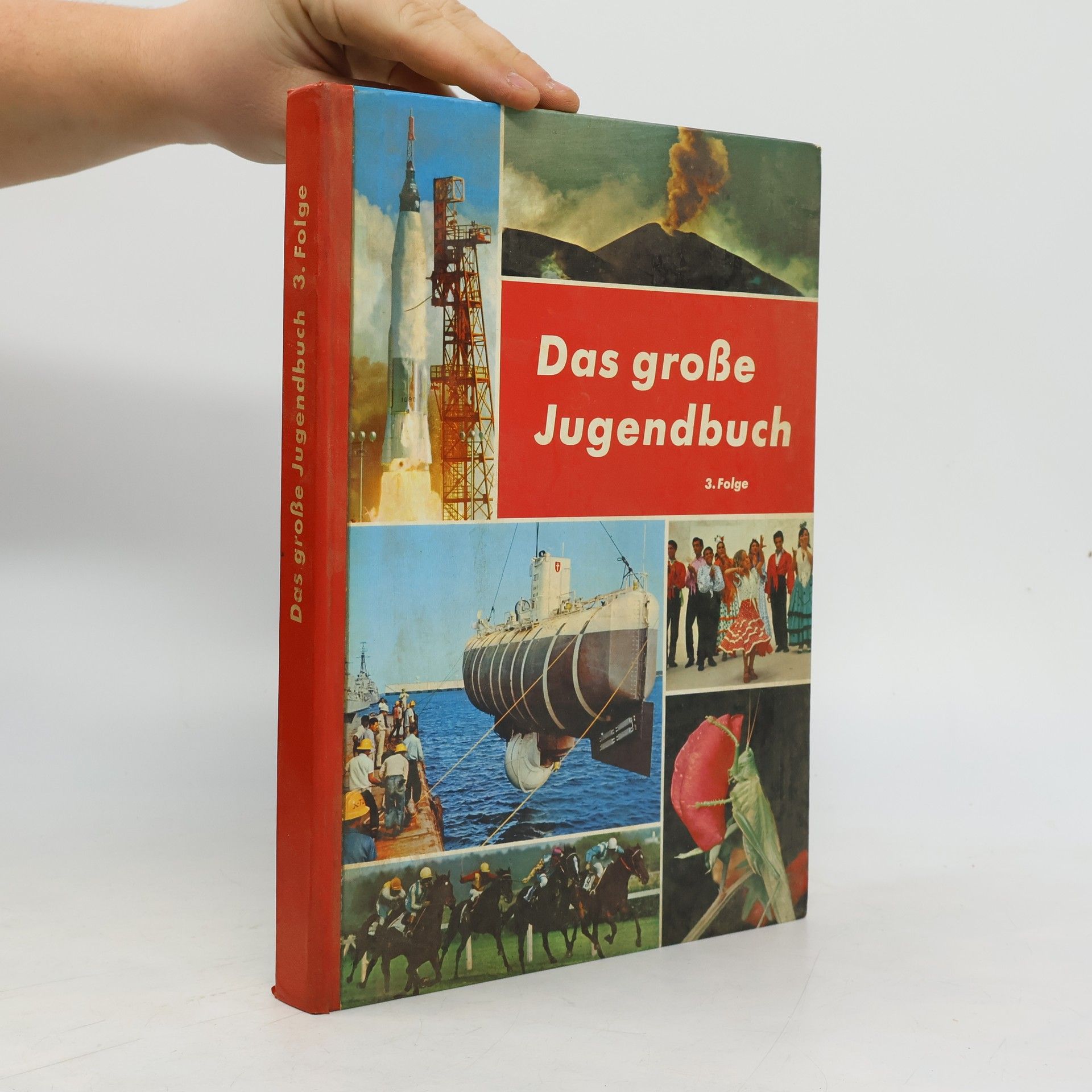 Autorenkollektiv Das große Jugendbuch. 3. Folge
