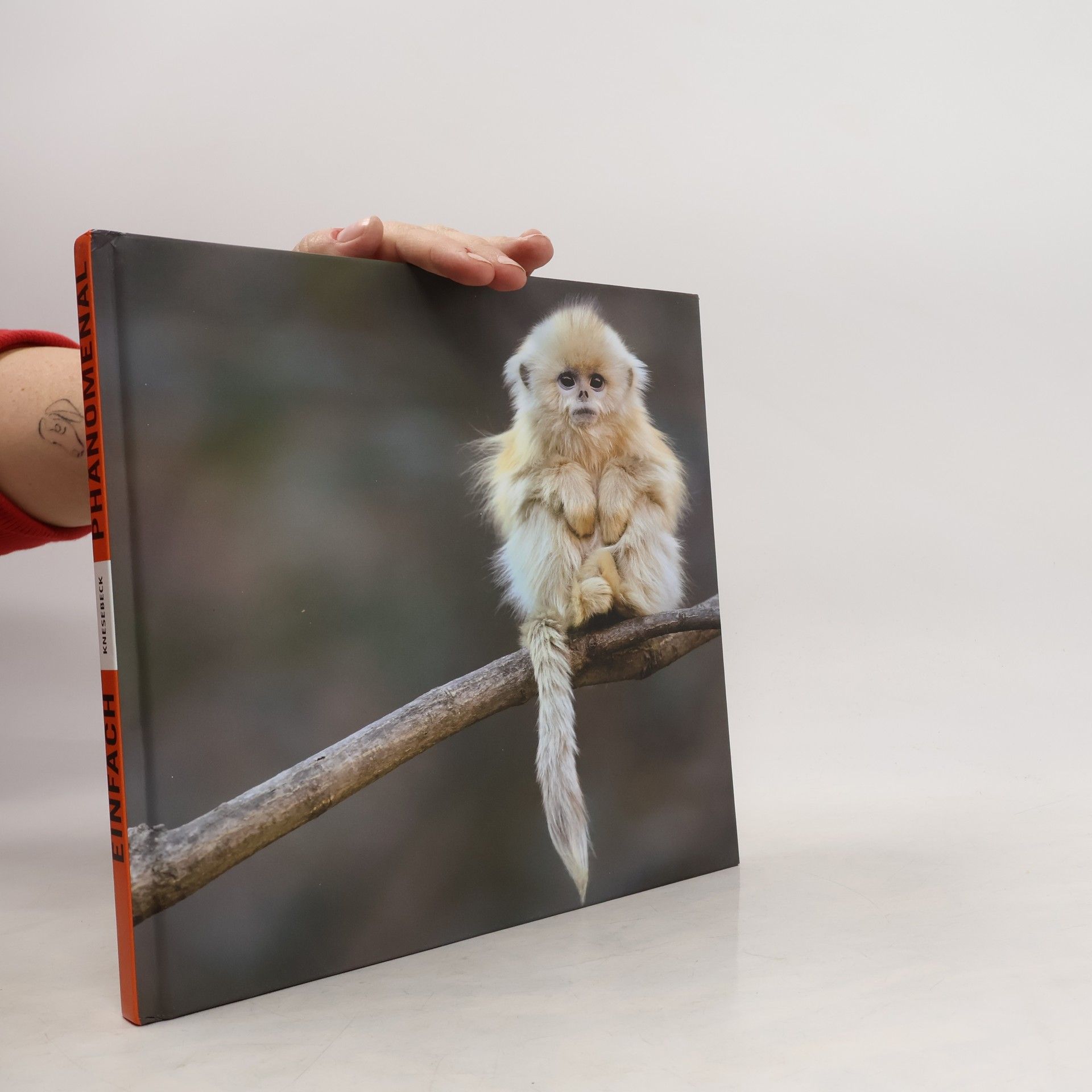 Rosamund Kidman Cox Einfach phänomenal