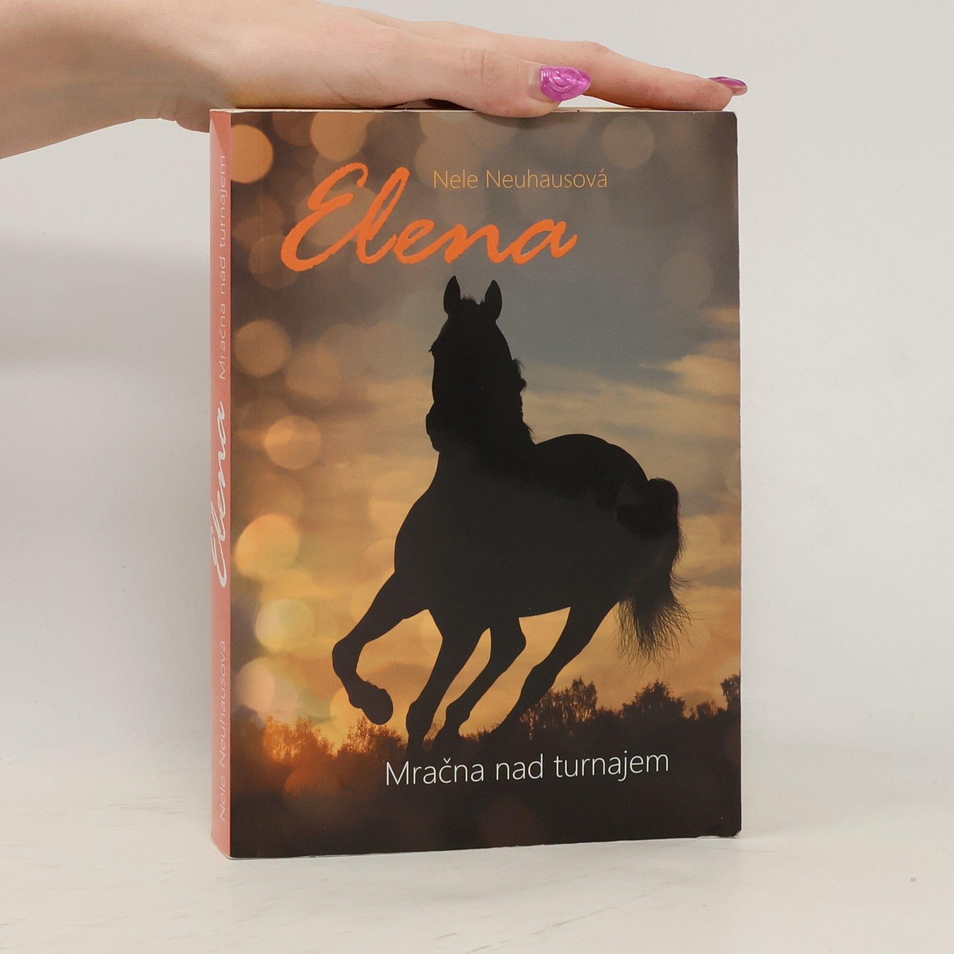 Nele Neuhaus Mračna nad turnajem