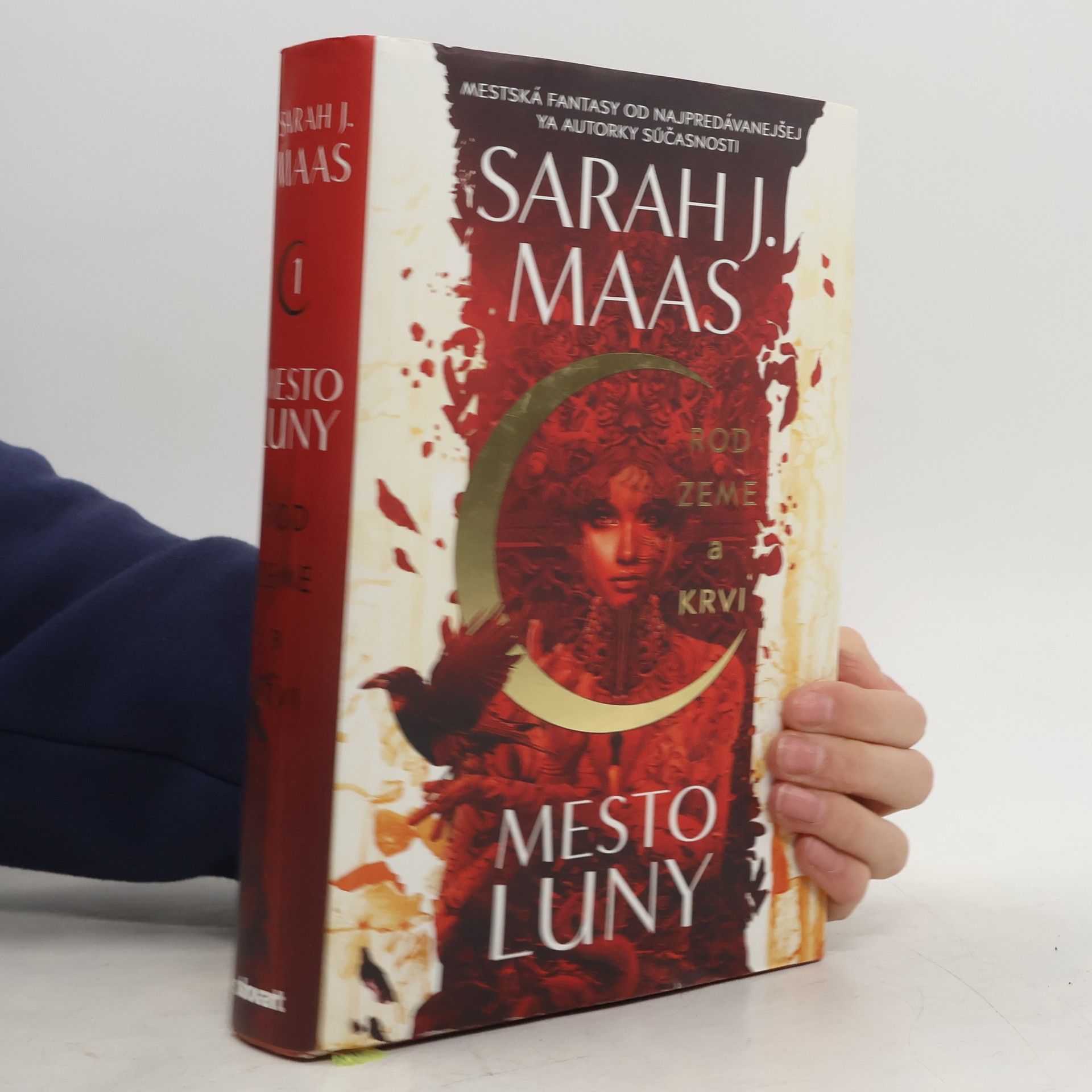 Sarah J. Maas Rod zeme a krvi