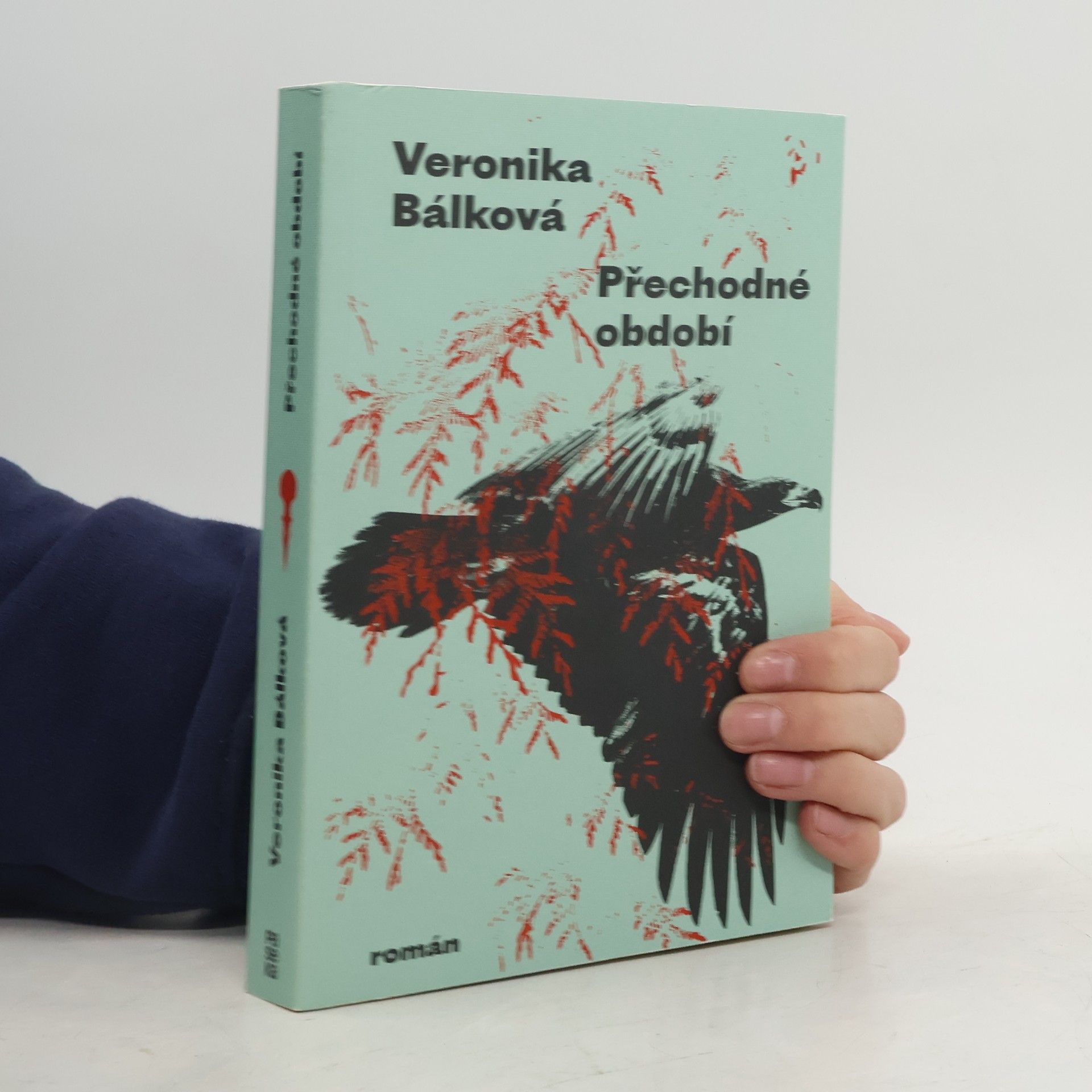 Veronika Bálková Přechodné období