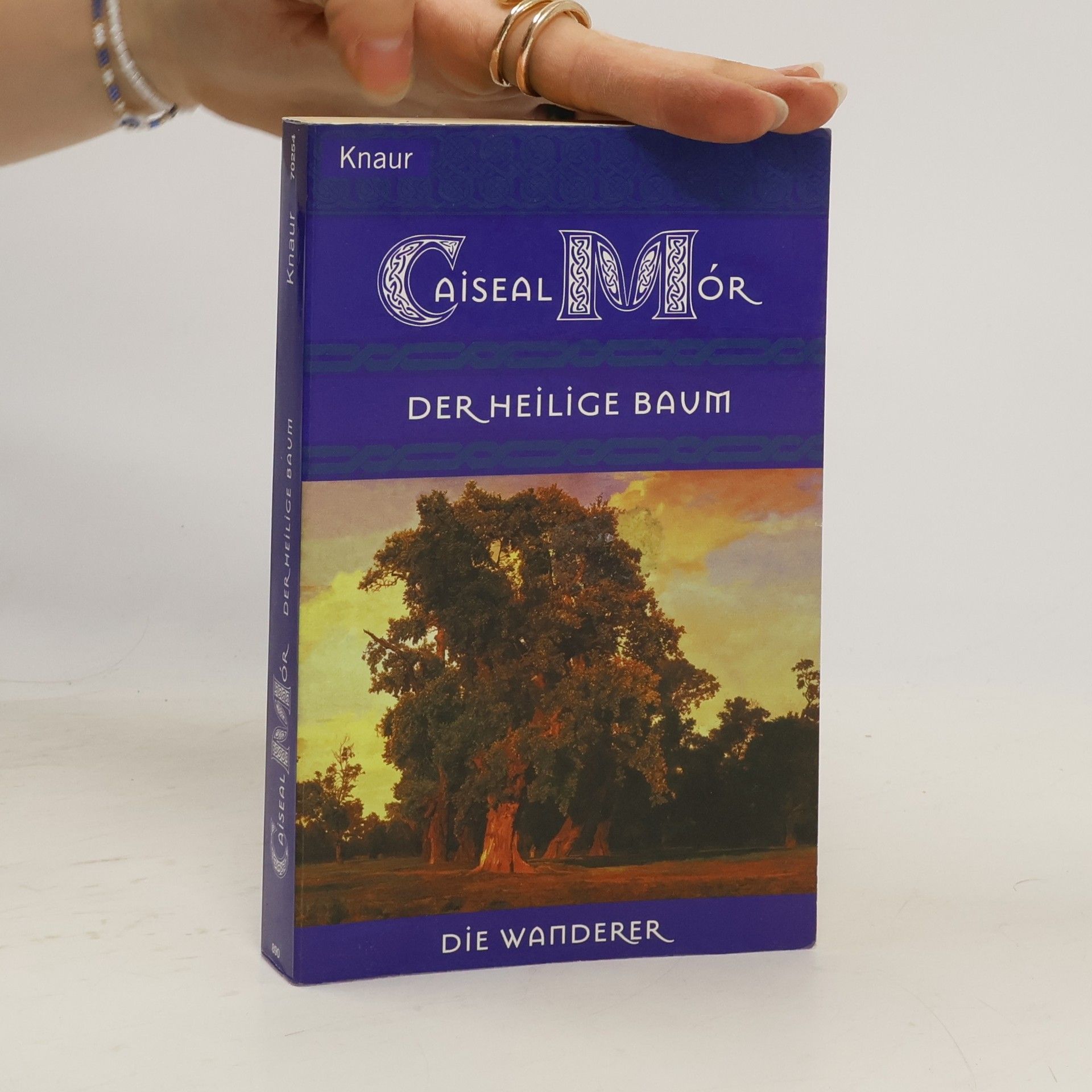 Caiseal Mór Der Heilige Baum. Roman. Aus d. Engl. v. Bernd Seligmann