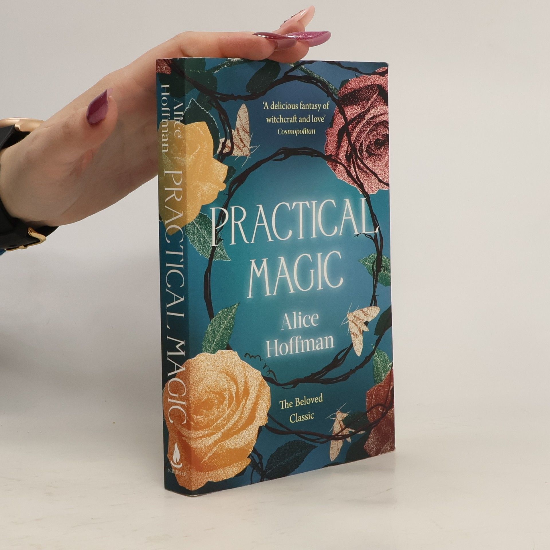 Alice Hoffman Practical magic