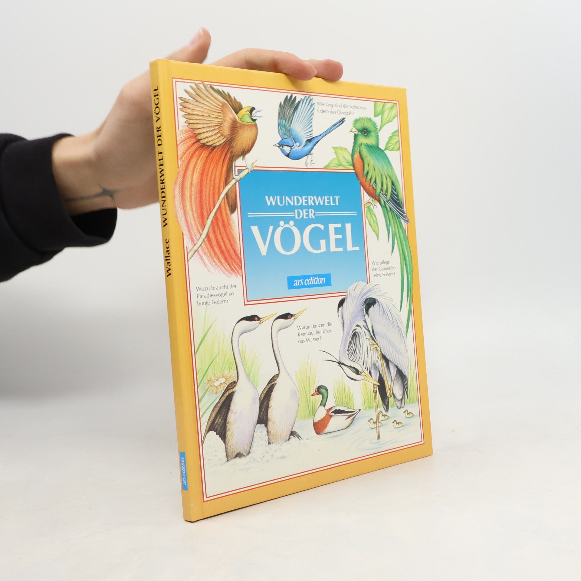 Ian Wallace Wunderwelt der Vögel