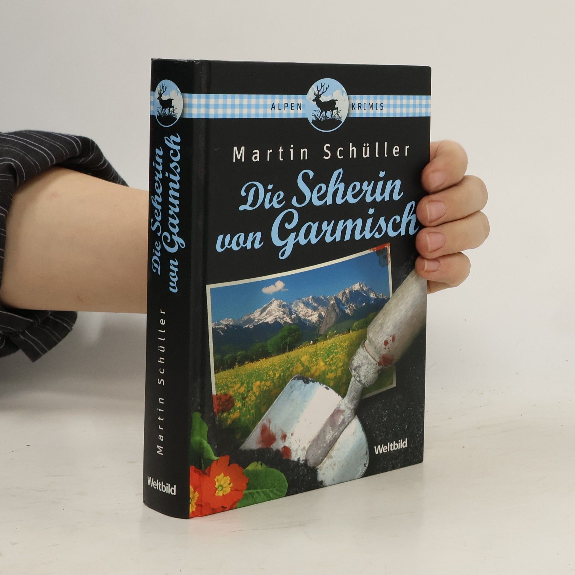 Martin Schüller Die Seherin von Garmisch