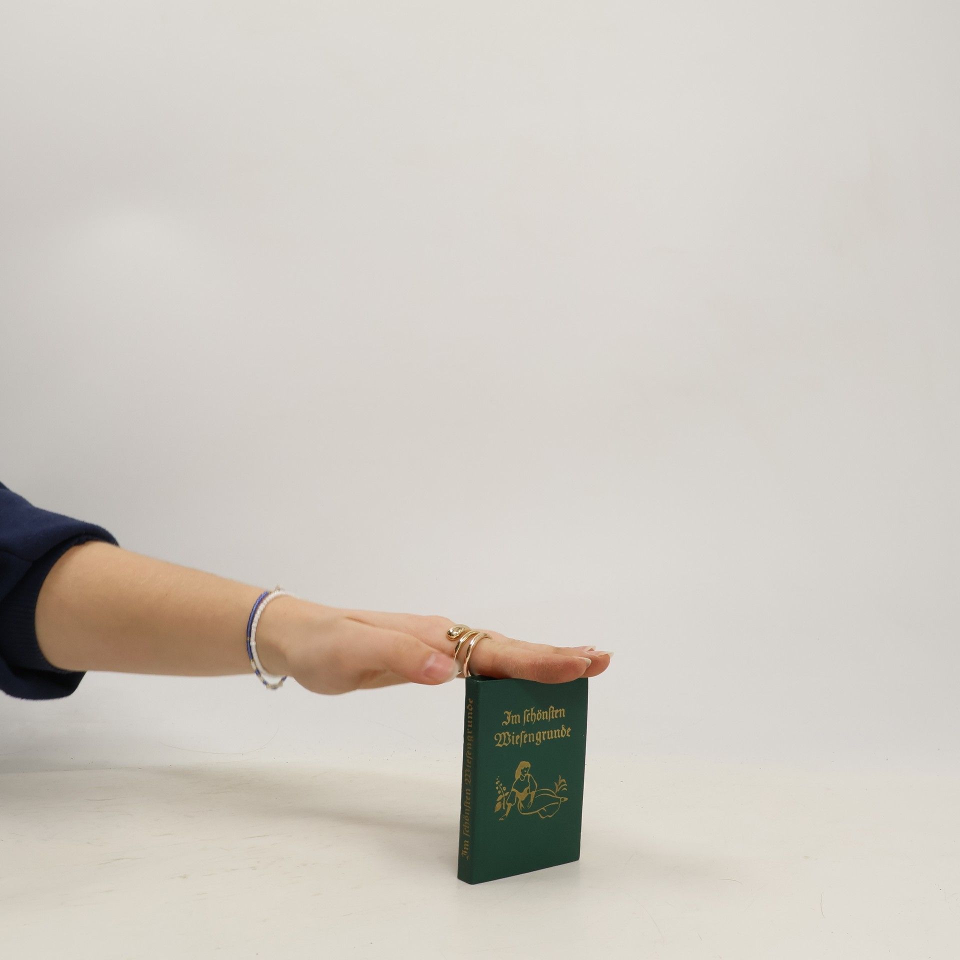 Collectif d'auteurs Im schönsten Wiesengrunde