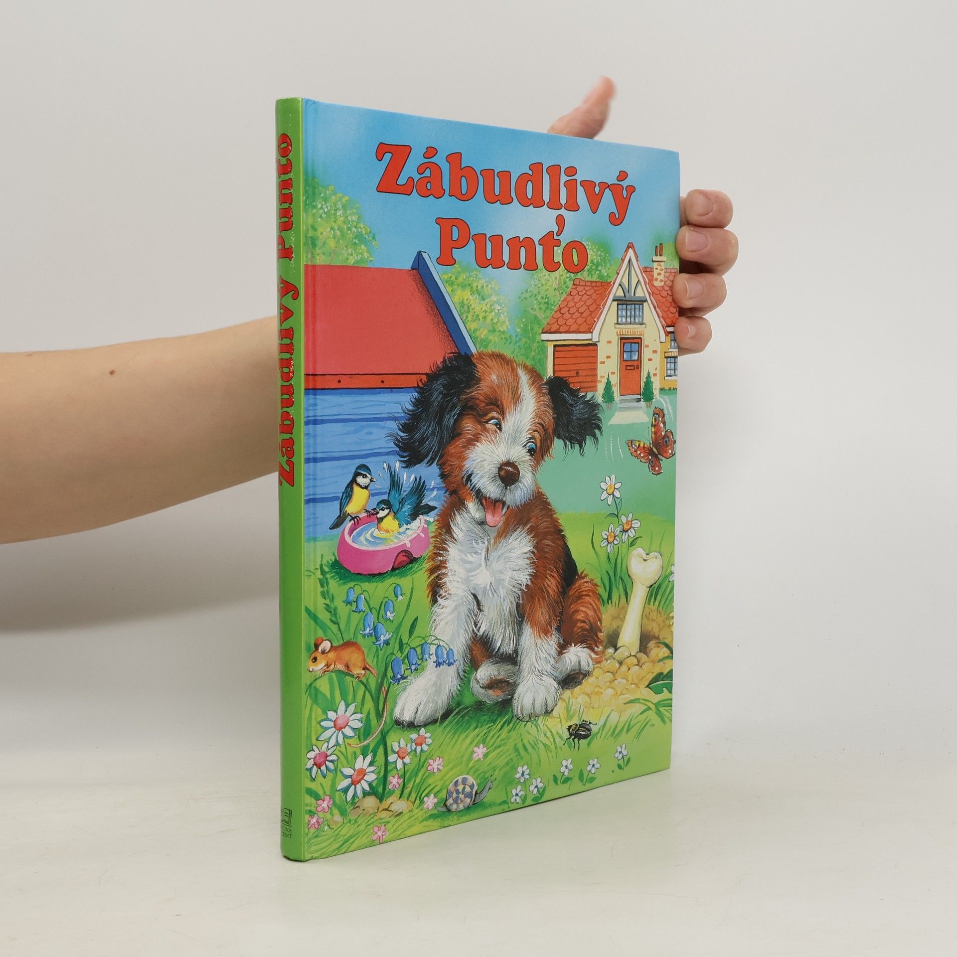 Elke Meinardus Zábudlivý Punťo