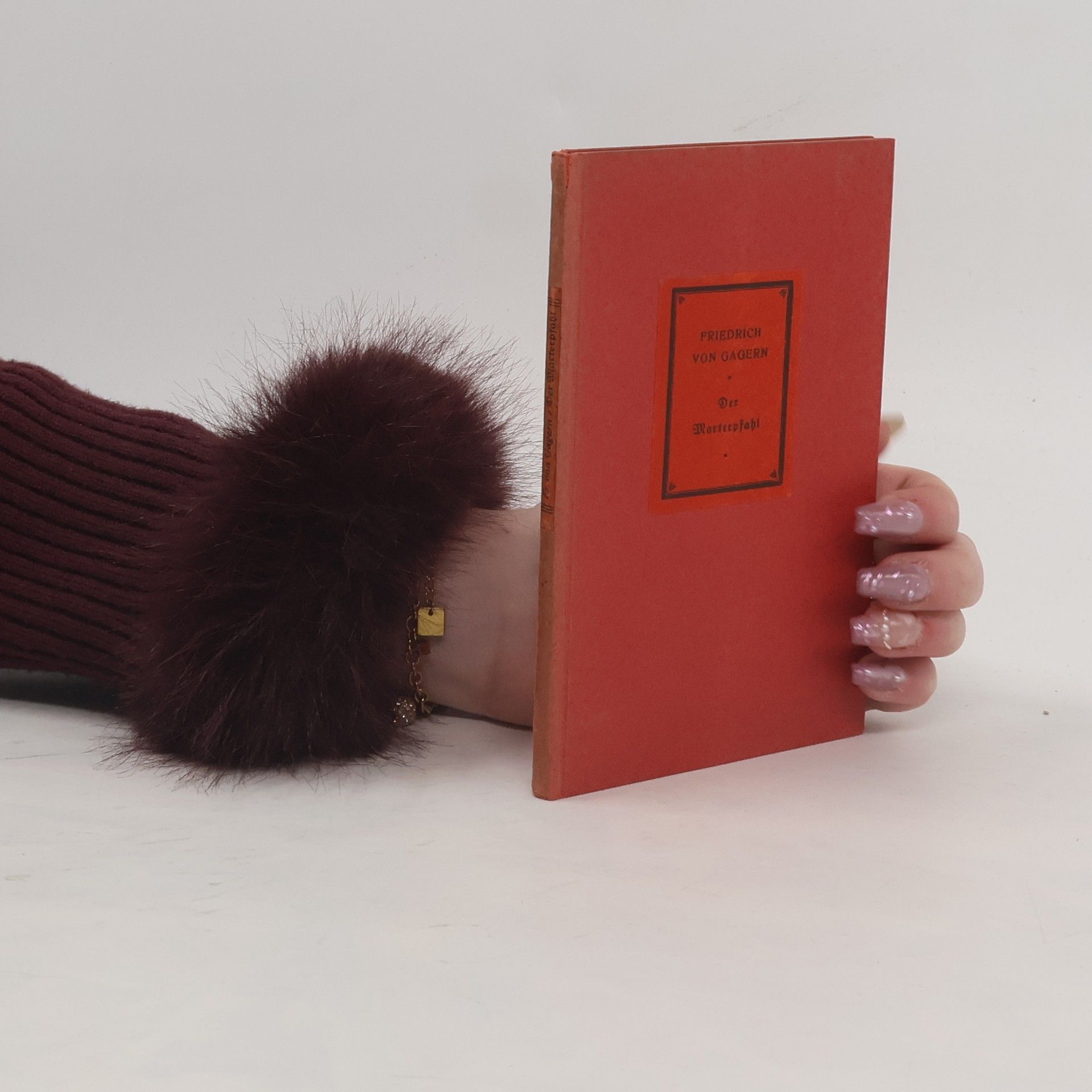 Friedrich von Gagern Der Marterpfahl