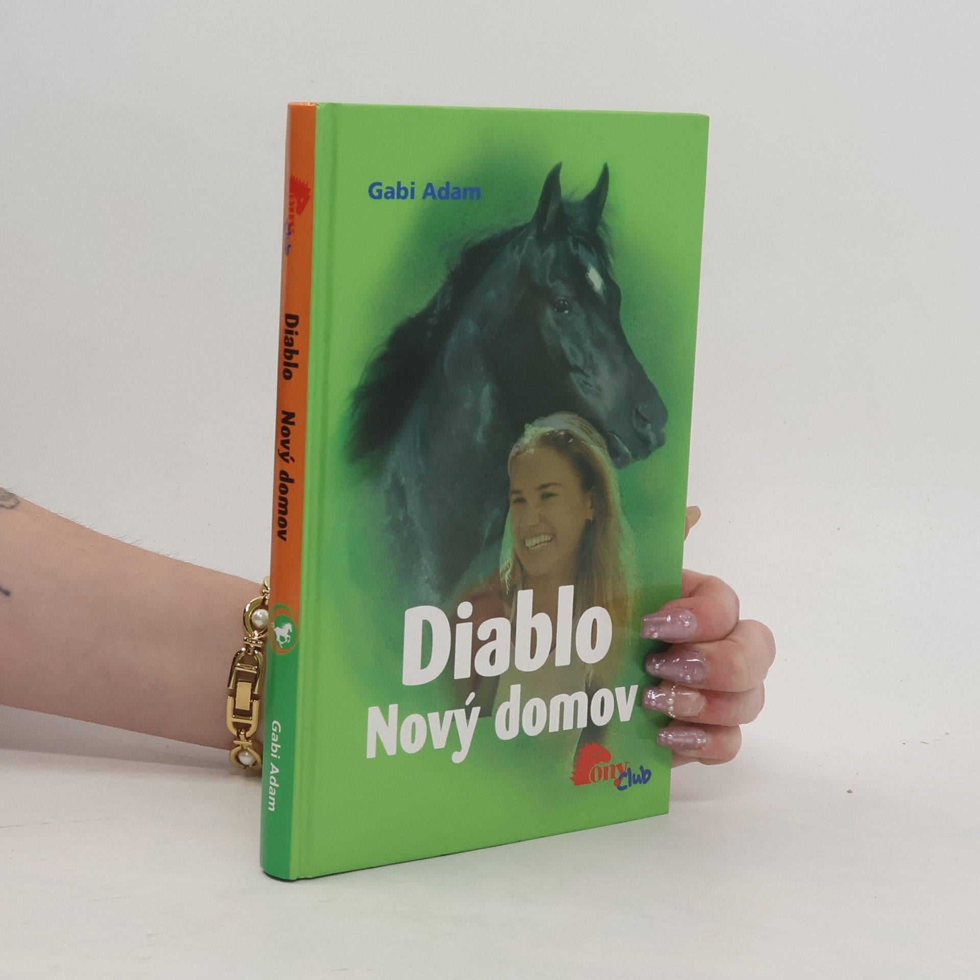 Gabi Adam Nový domov. Diablo 3