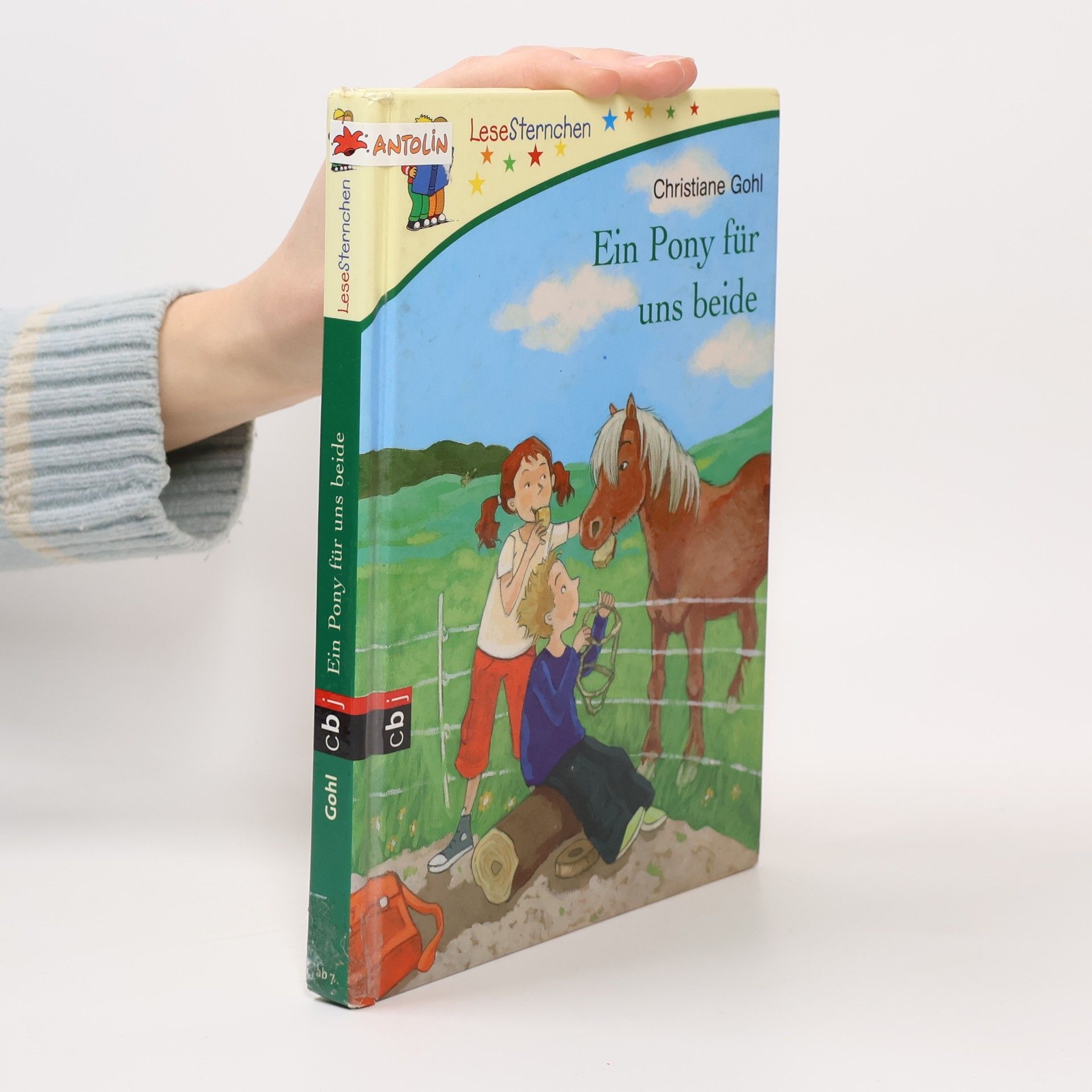 Christiane Gohl Ein Pony für uns beide