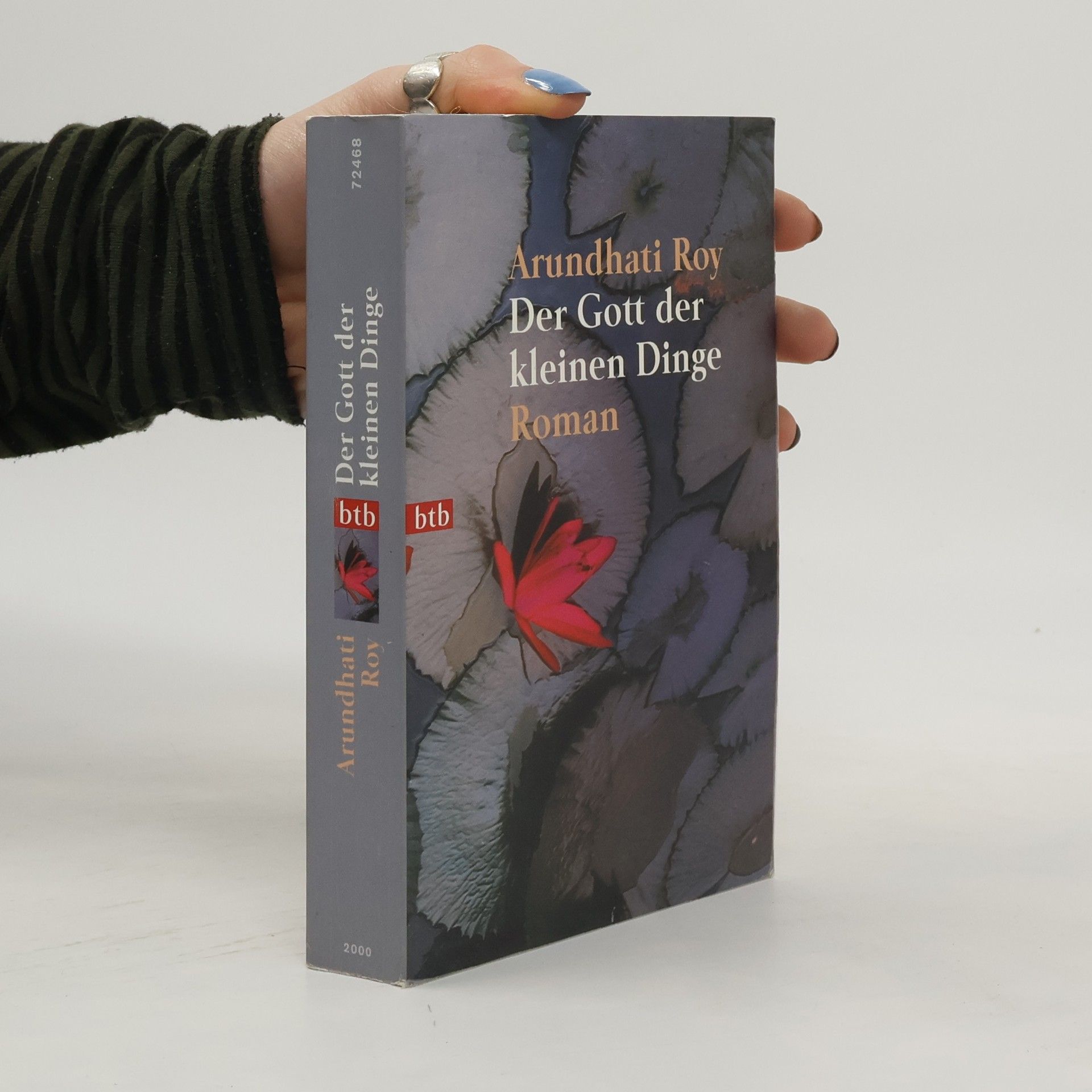 Arundhati Roy Der Gott der kleinen Dinge