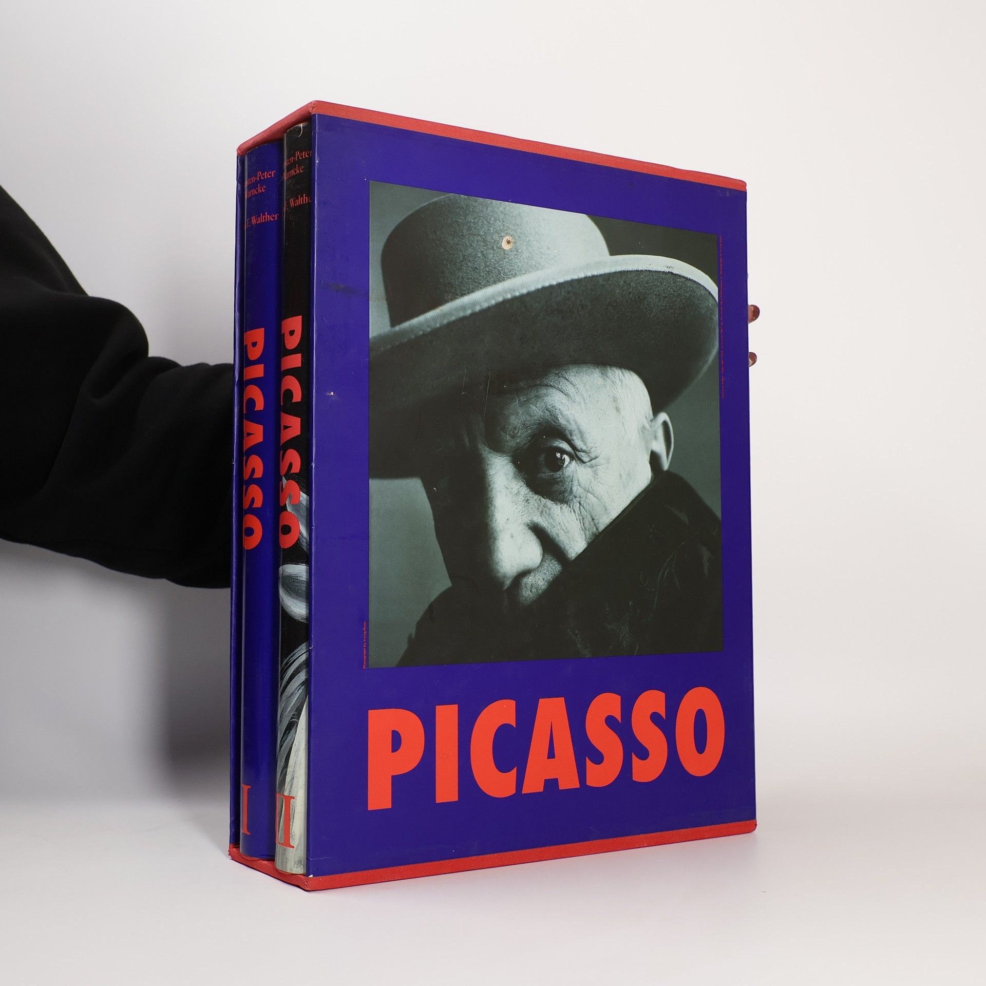 Carsten Peter Warncke Picasso