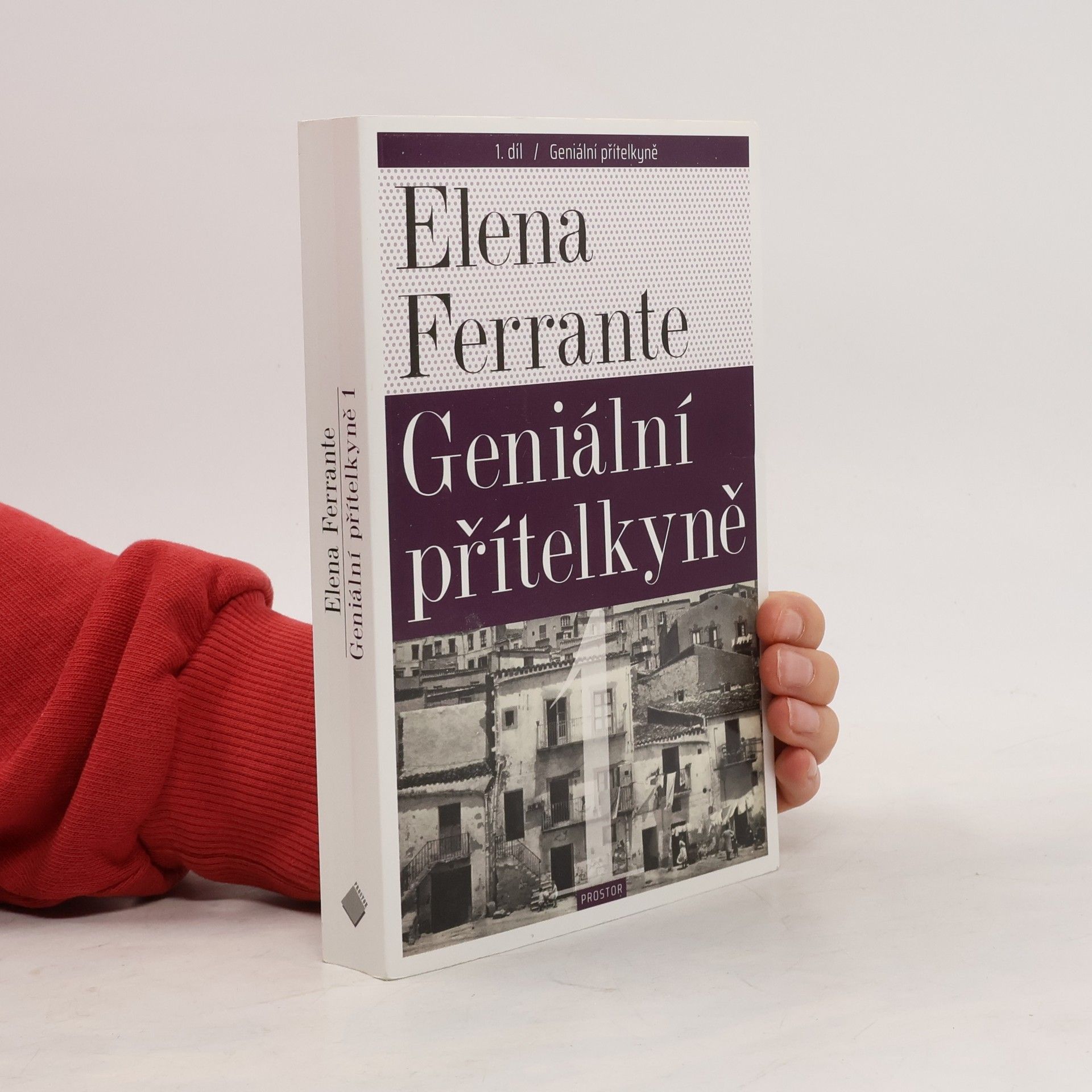 Elena Ferrante Geniální přítelkyně 1. Dětství a dospívání