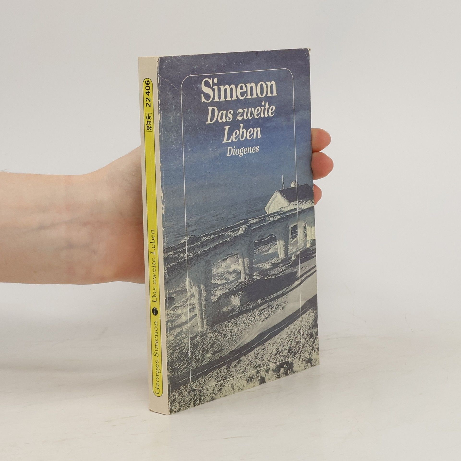 Georges Simenon Das zweite Leben