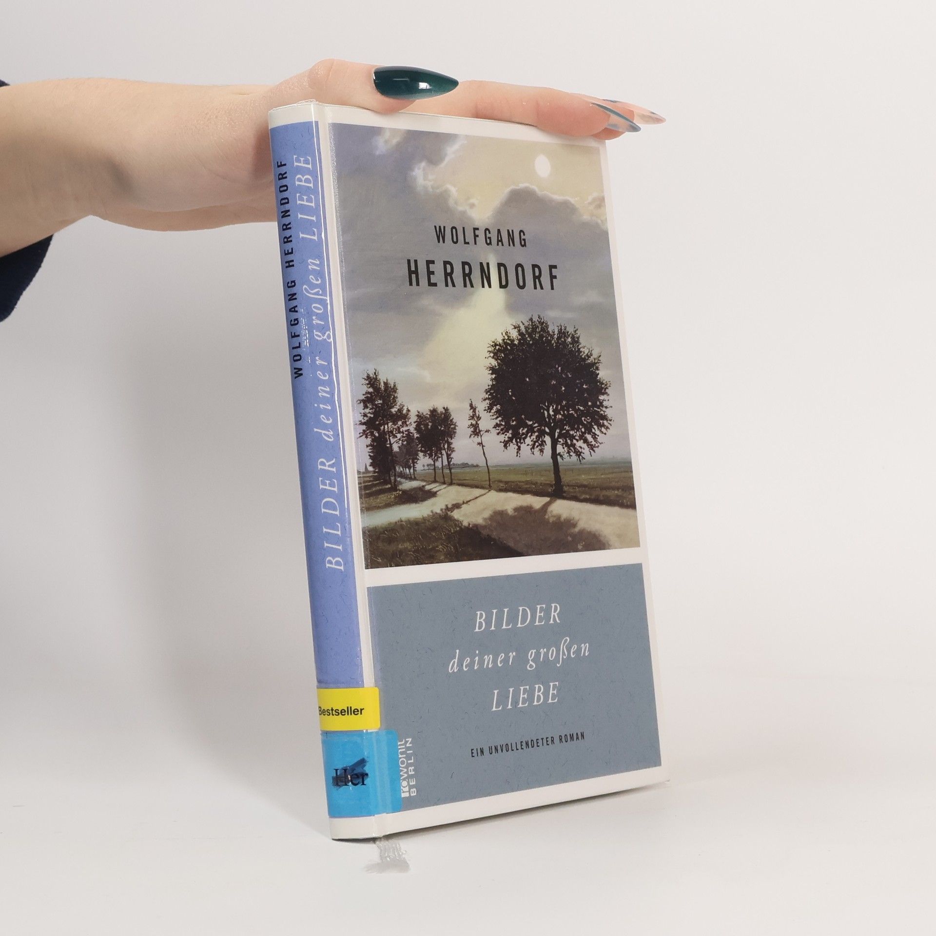 Bilder deiner großen Liebe : ein unvollendeter Roman