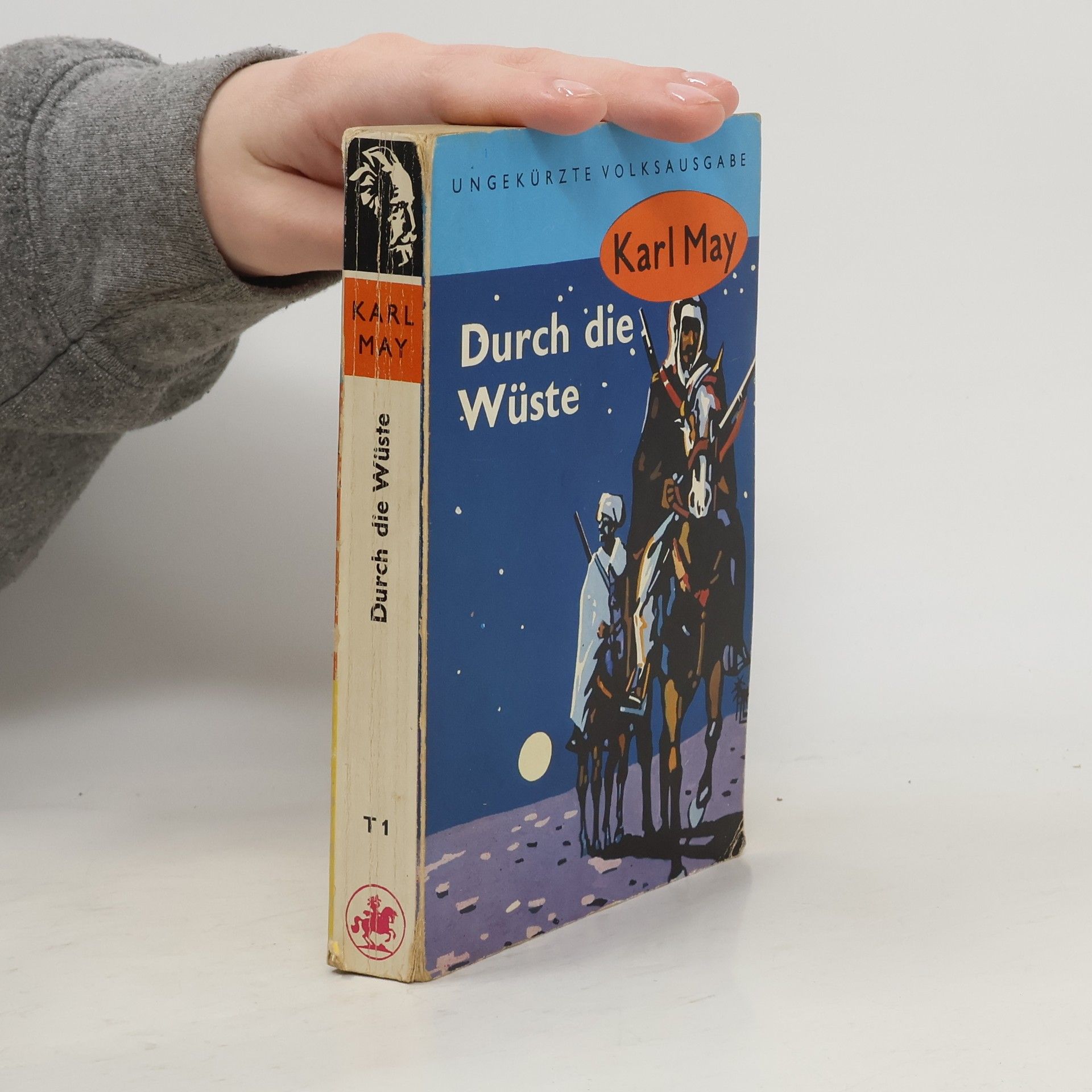 Karl May Durch die Wünste