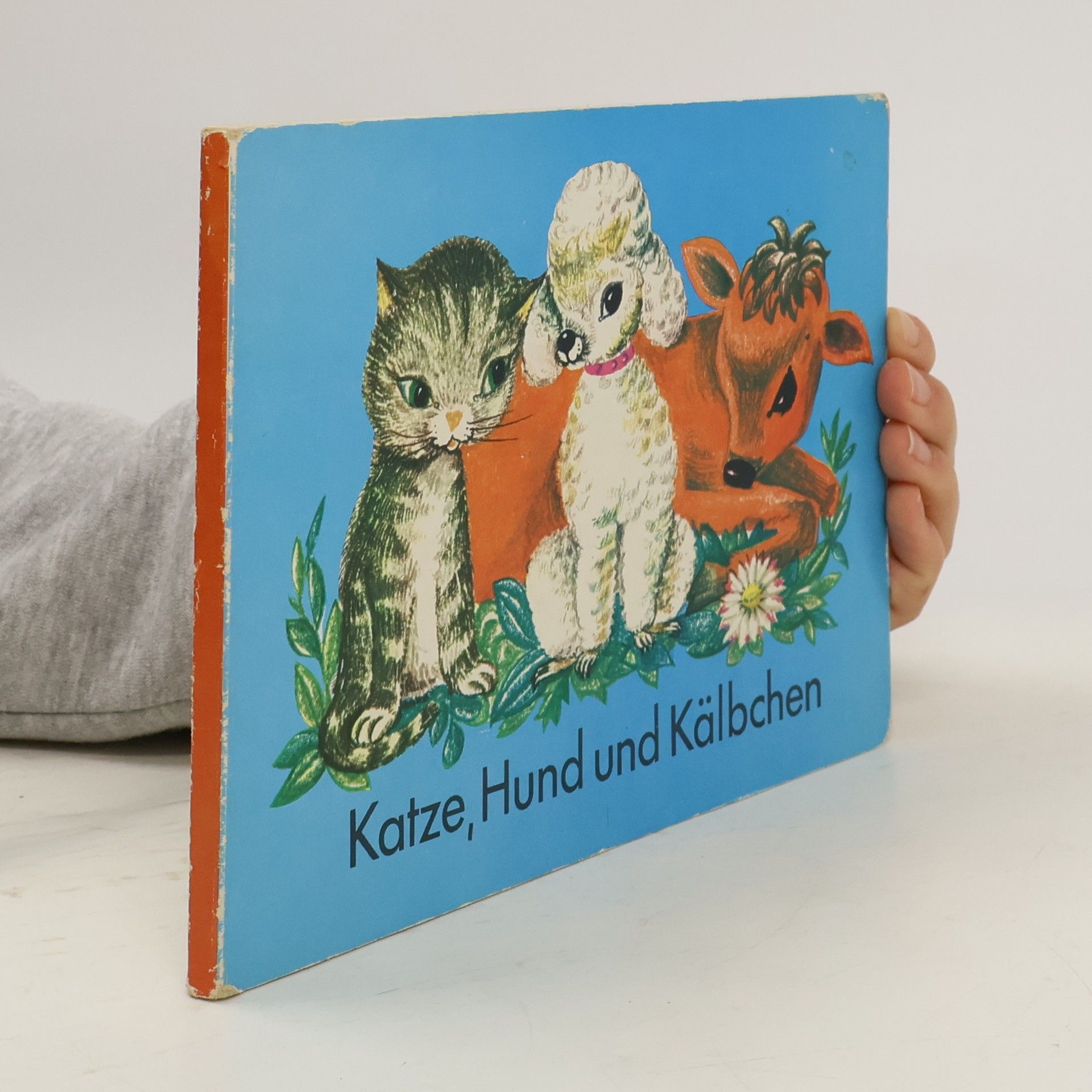 Collectif d'auteurs Katze, Hund und Kälbchen