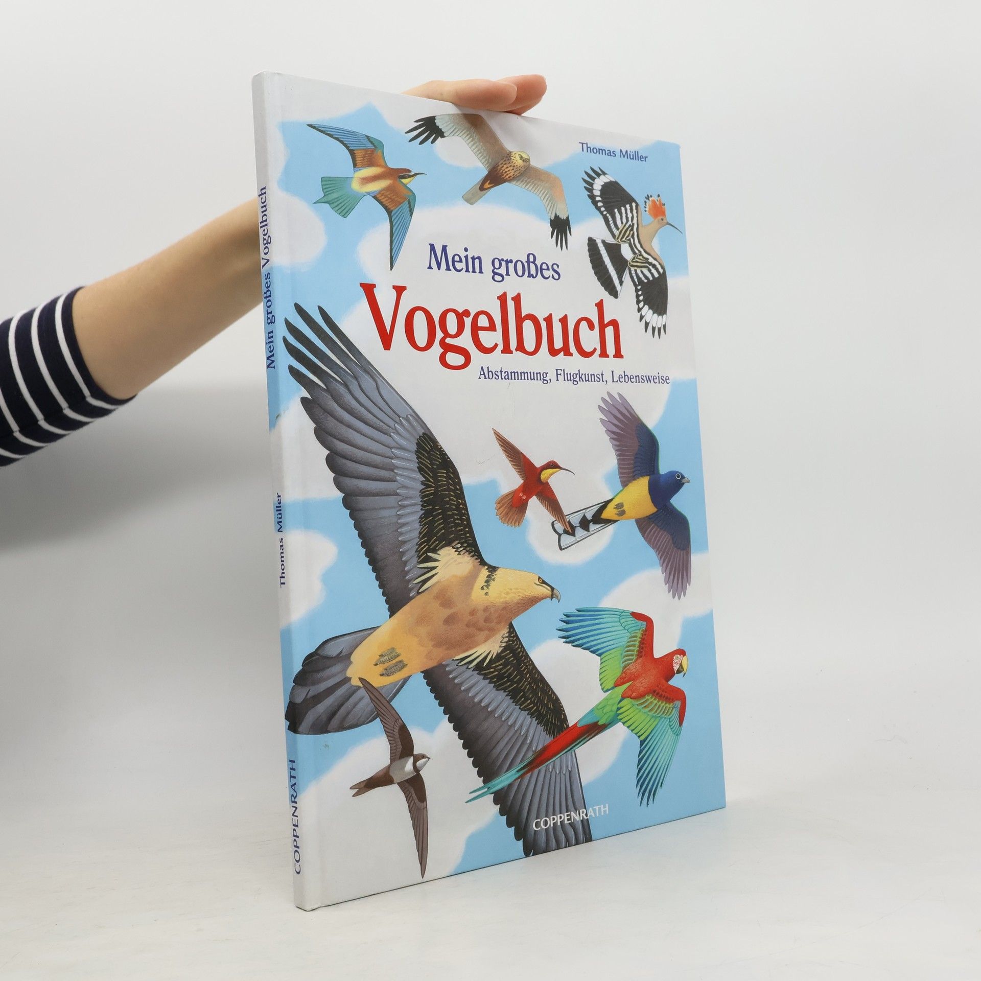 Mein großes Vogelbuch