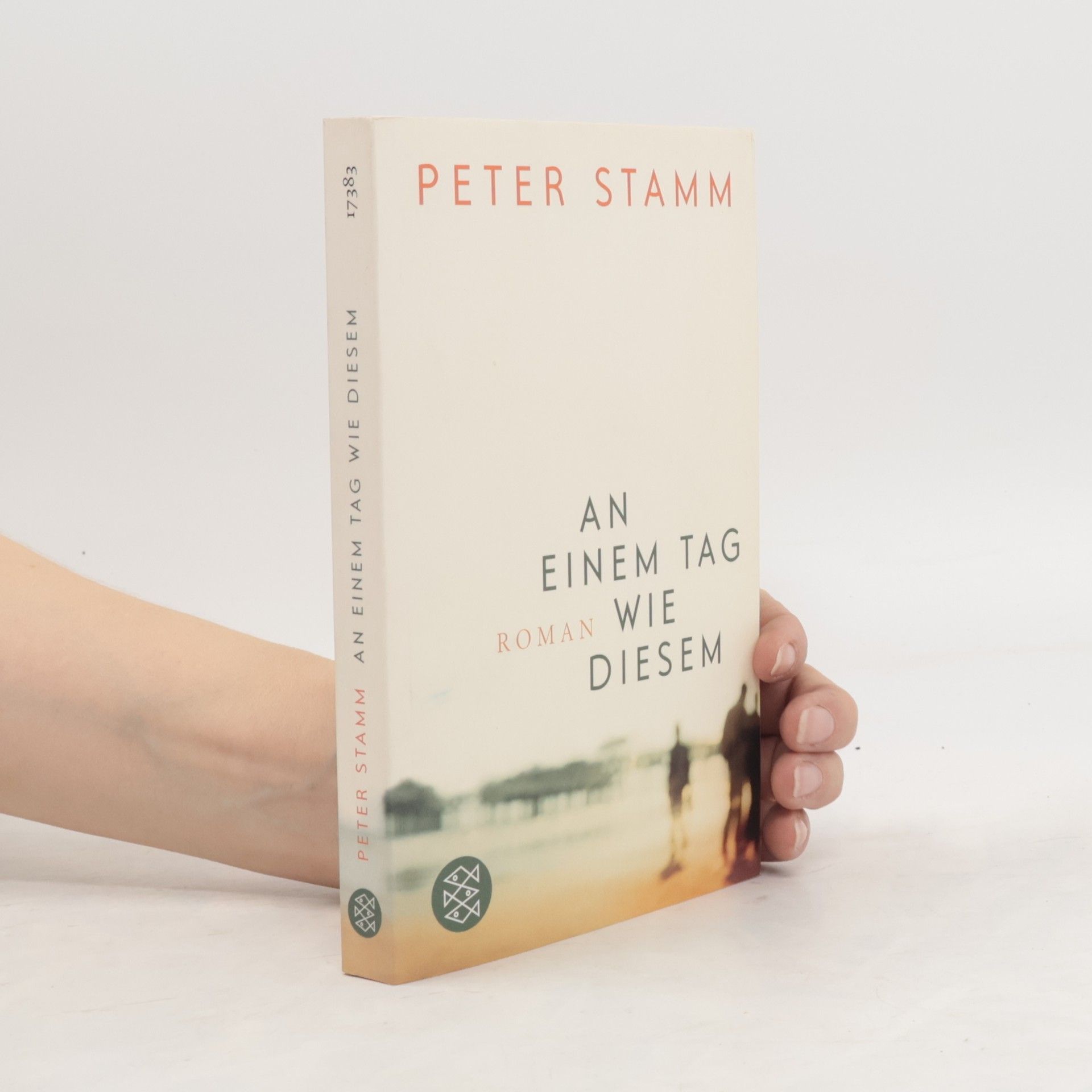 Peter Stamm An einem Tag wie diesem