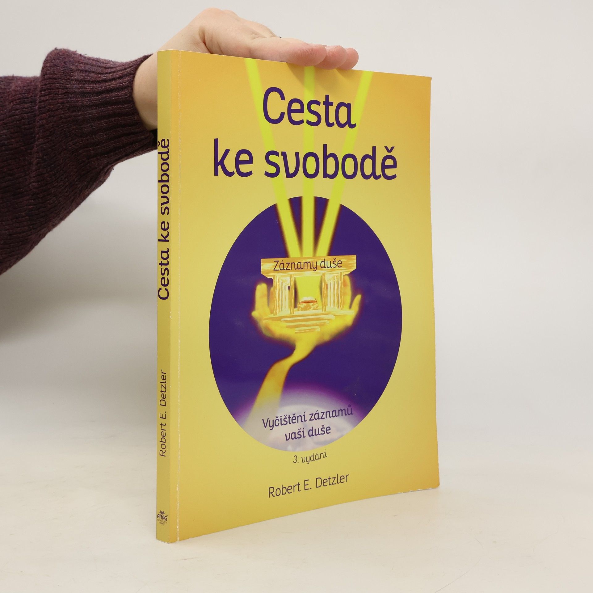 Robert E. Detzler Cesta ke svobodě : vyčištění záznamů vaší duše