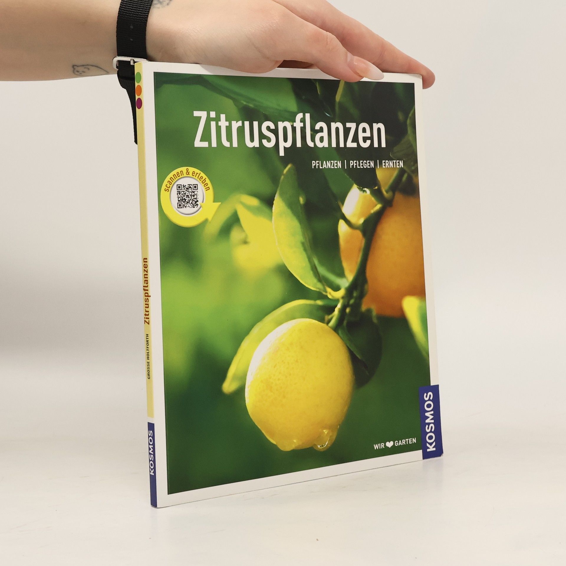 Dominik Große Holtforth Zitruspflanzen