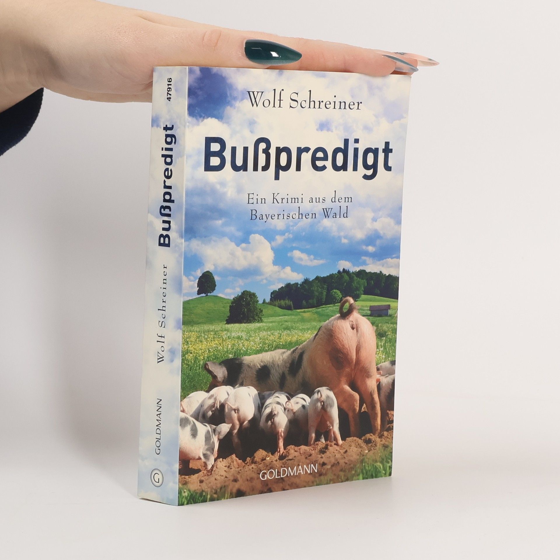 Wolf Schreiner Bußpredigt