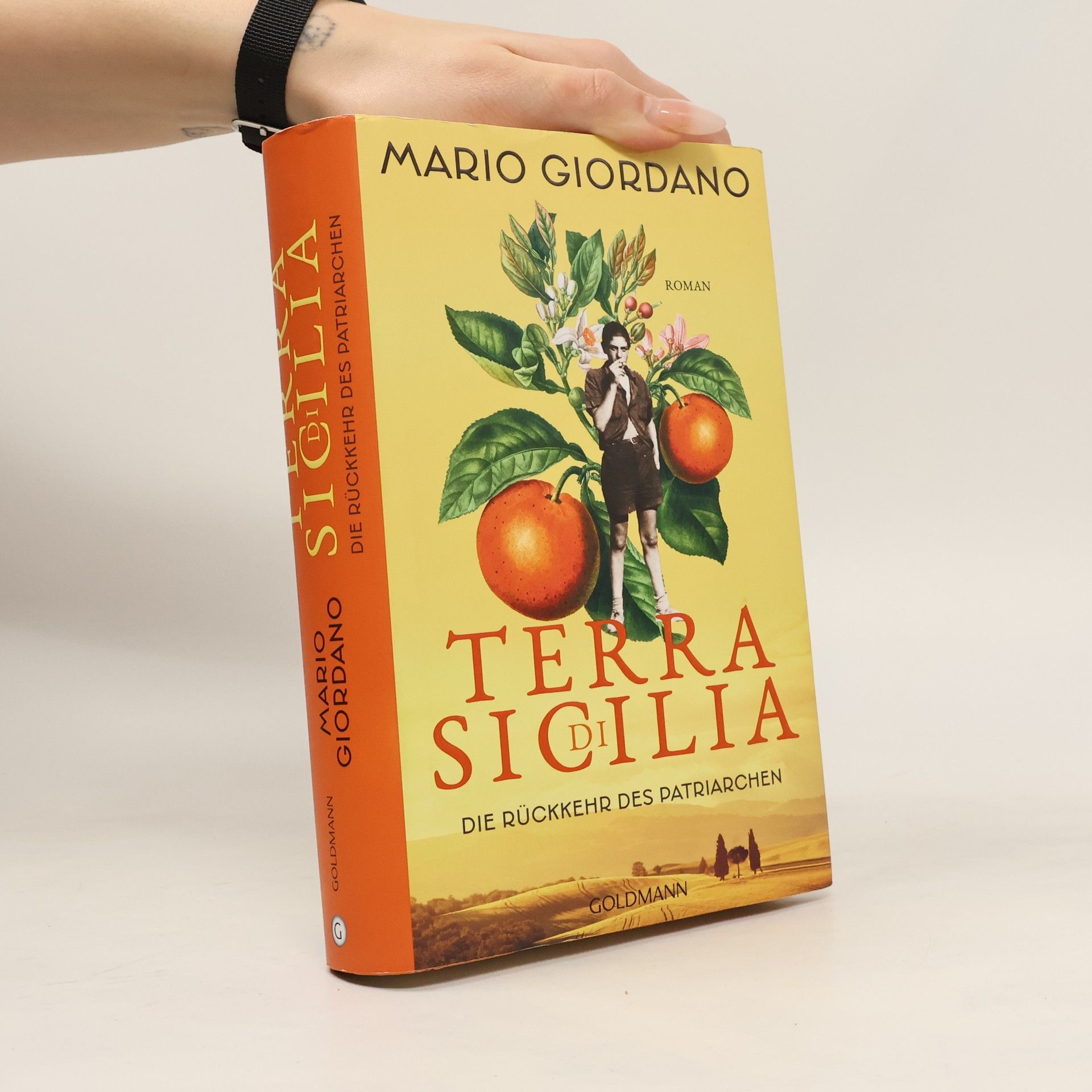 Mario Giordano Terra di Sicilia - die Rückkehr des Patriarchen